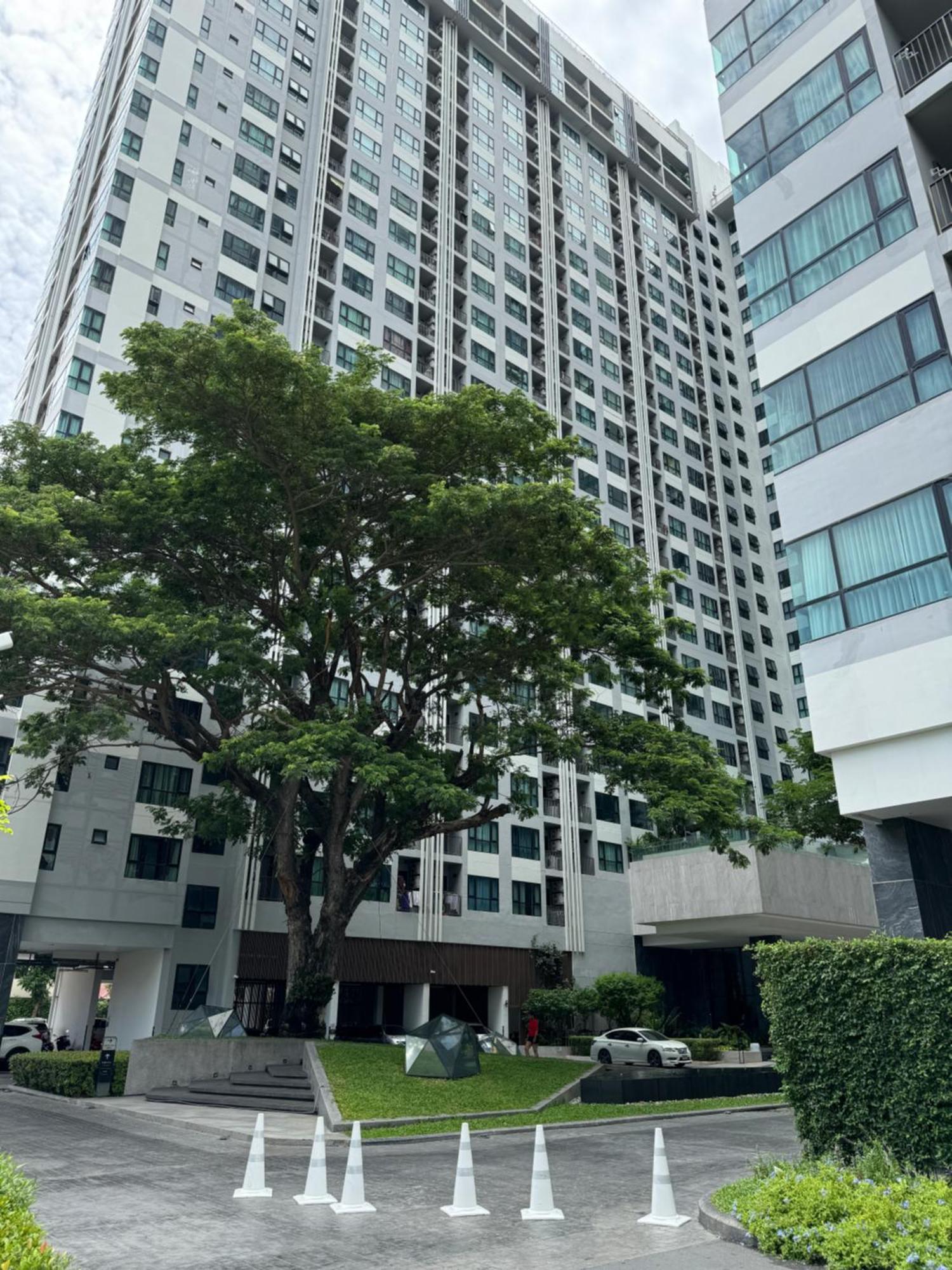芭提雅市中心the Base 高端公寓