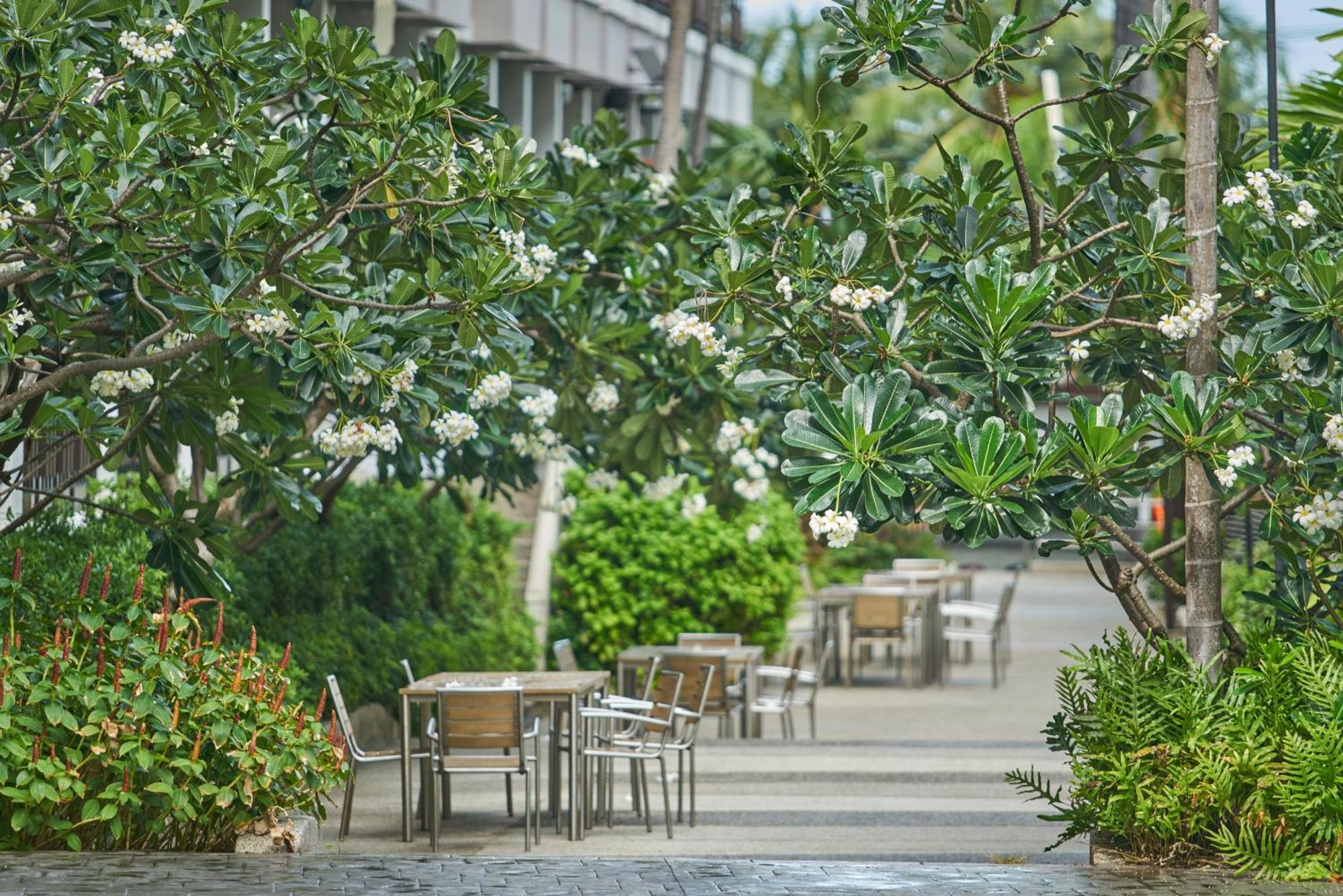 Welcome World Beachfront
