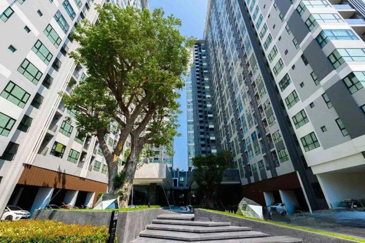 Kaws Theme Modern 1br - High Floor Seaview Pattaya