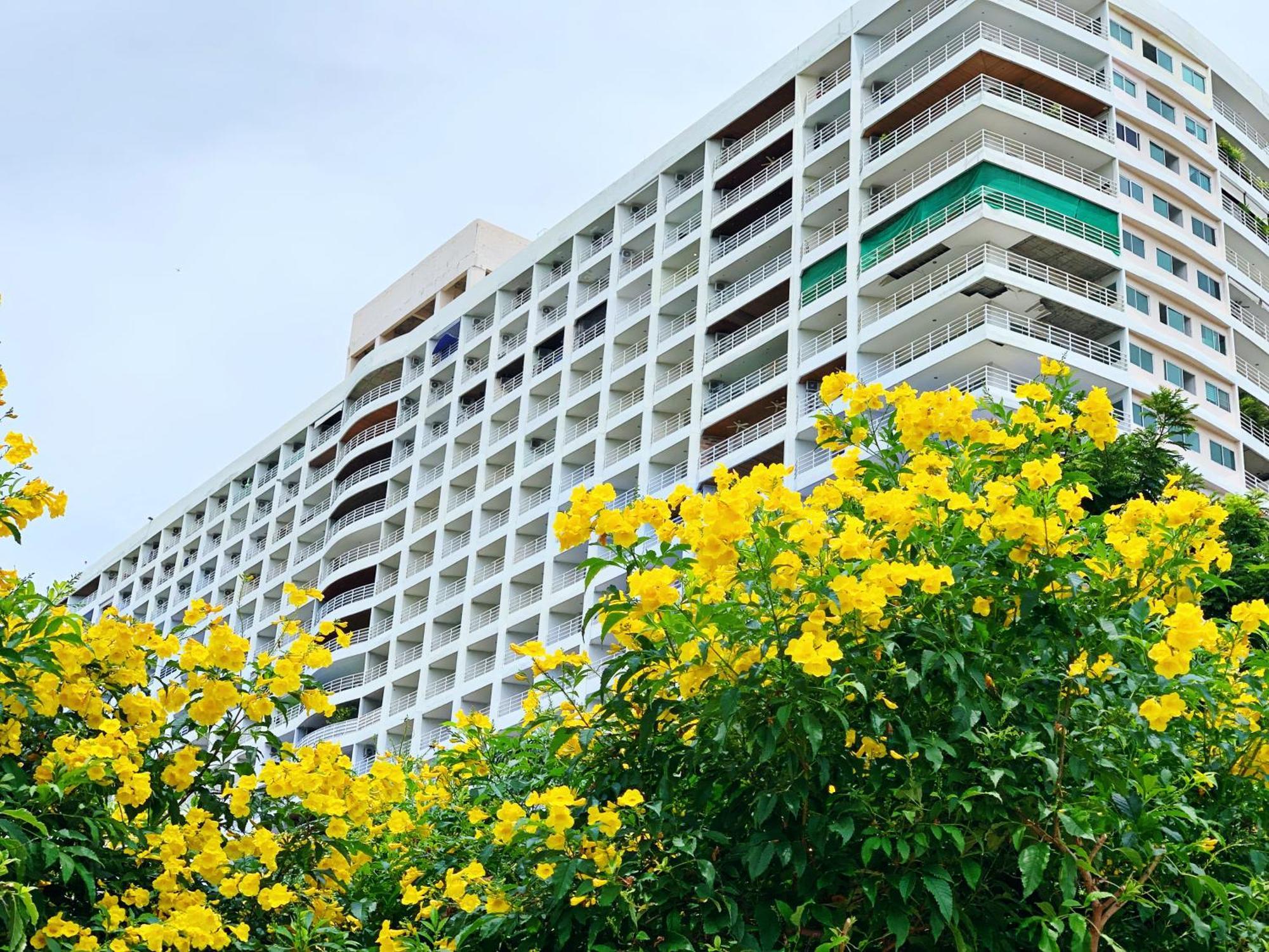 Apartment Polco *