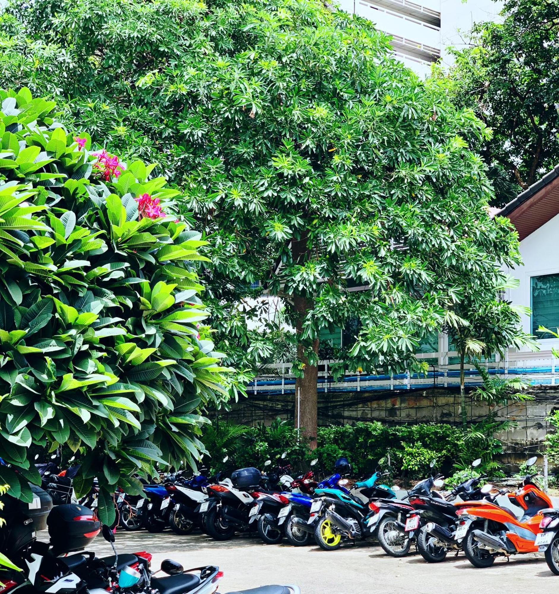 Polco Apartment *
