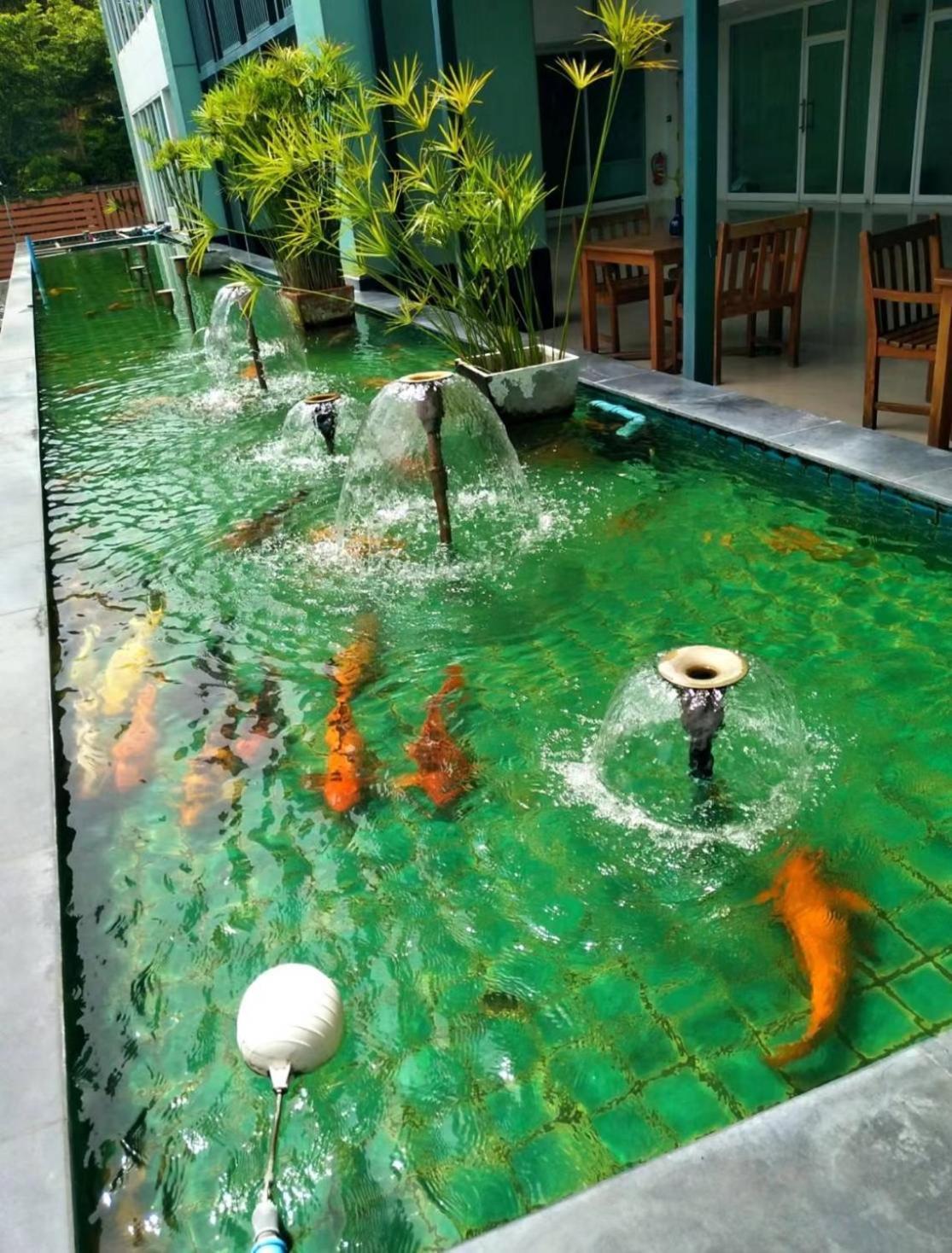 Apartamento Hyatt Beachfront Escape *