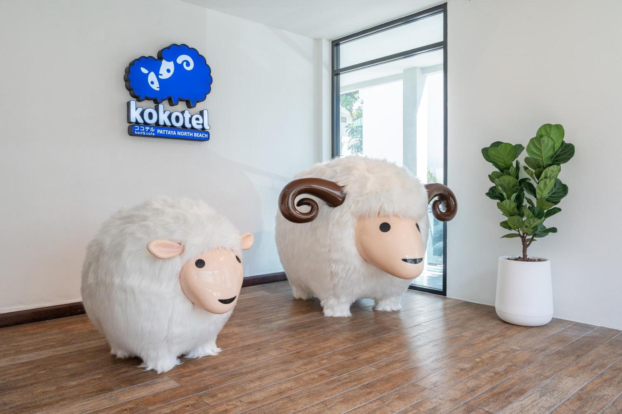 Hotel Kokotel North 3*