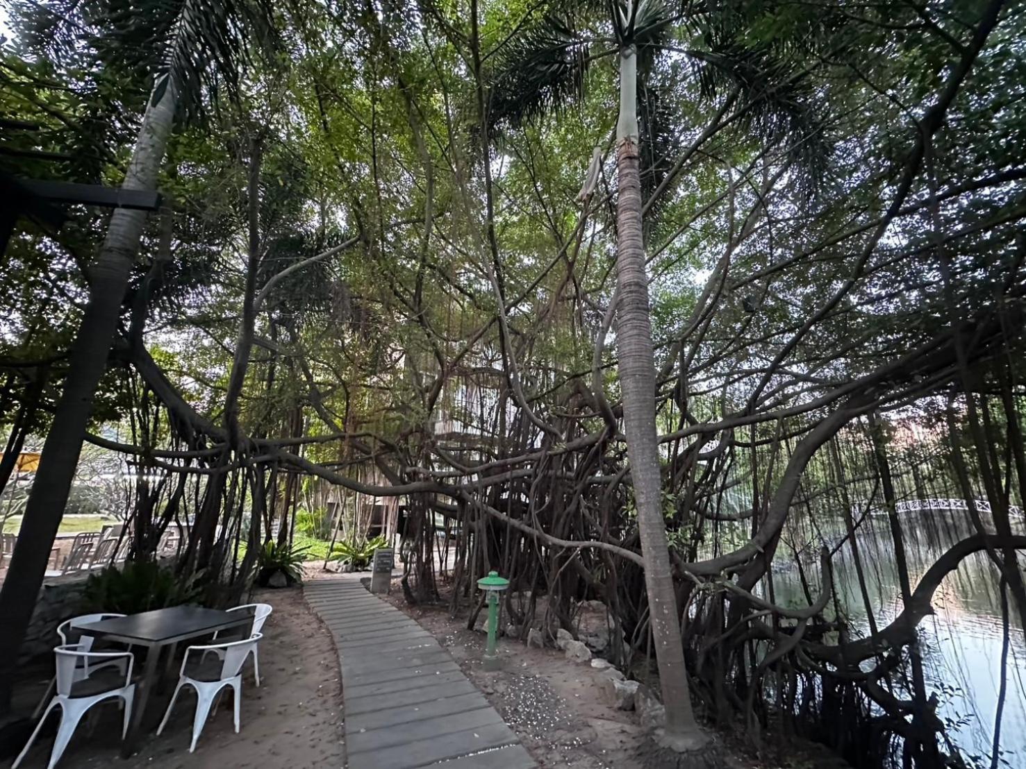 The Leela & Hotel 4*
