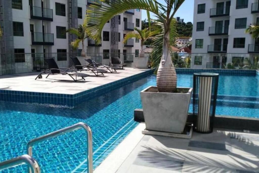 Arcadia Apartment *