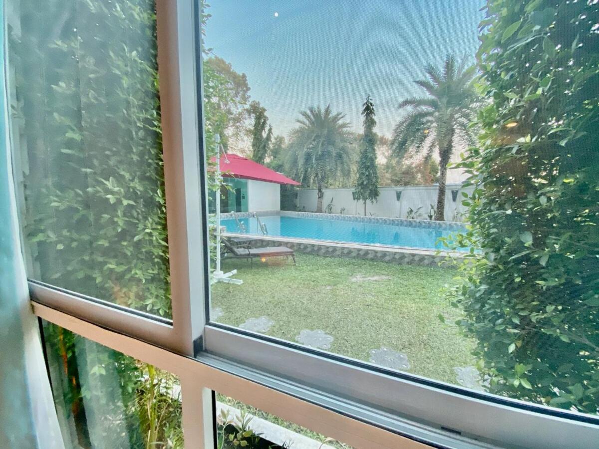 Olympus Direct Pool Access