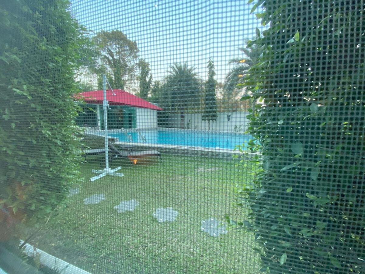 Olympus Direct Pool Access Apartment *