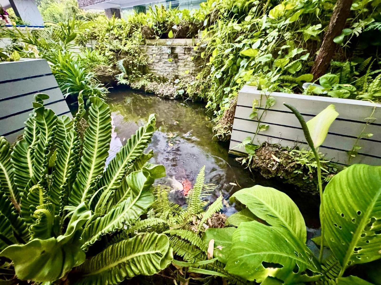 Lotus * Pattaya