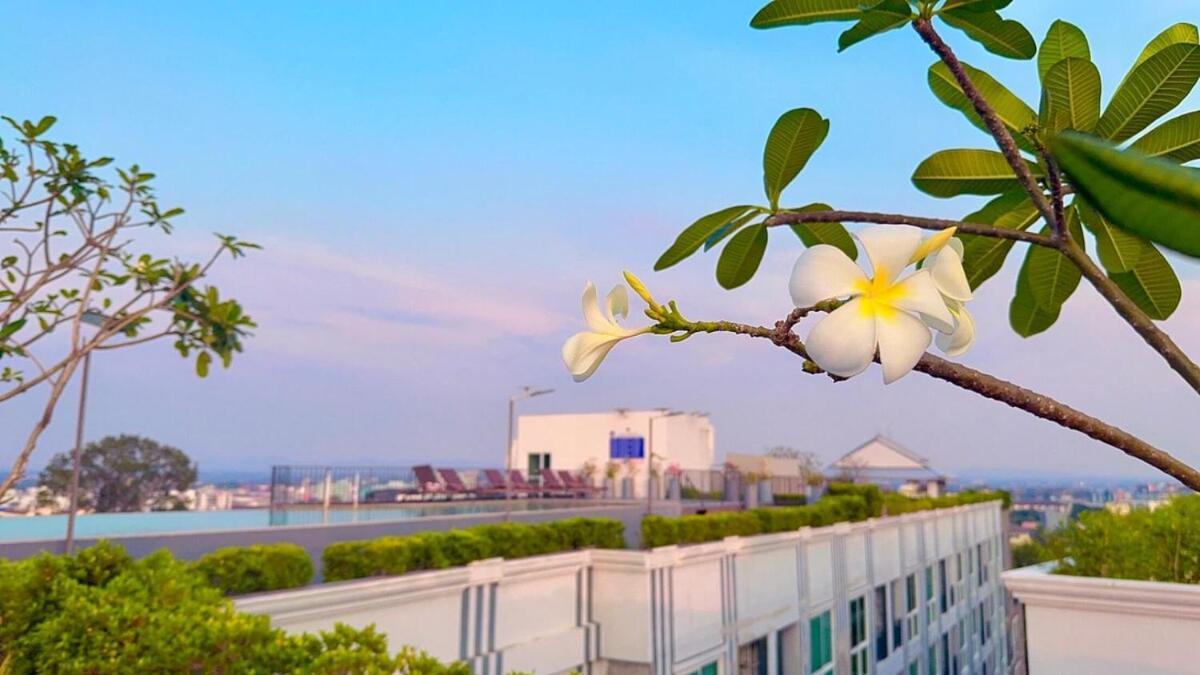 Apartment Buffy Pattaya