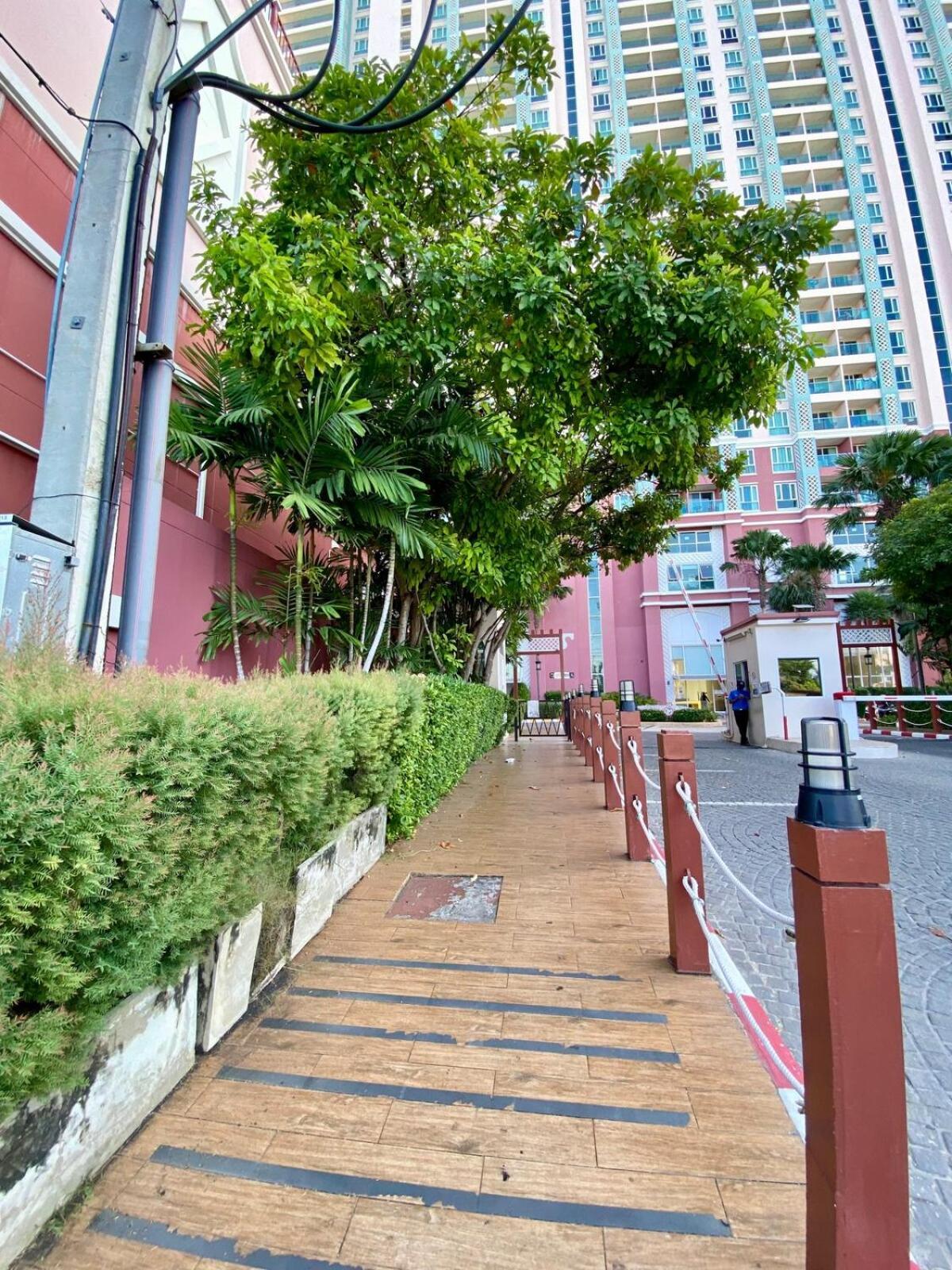 Apartment Park View Comfort
