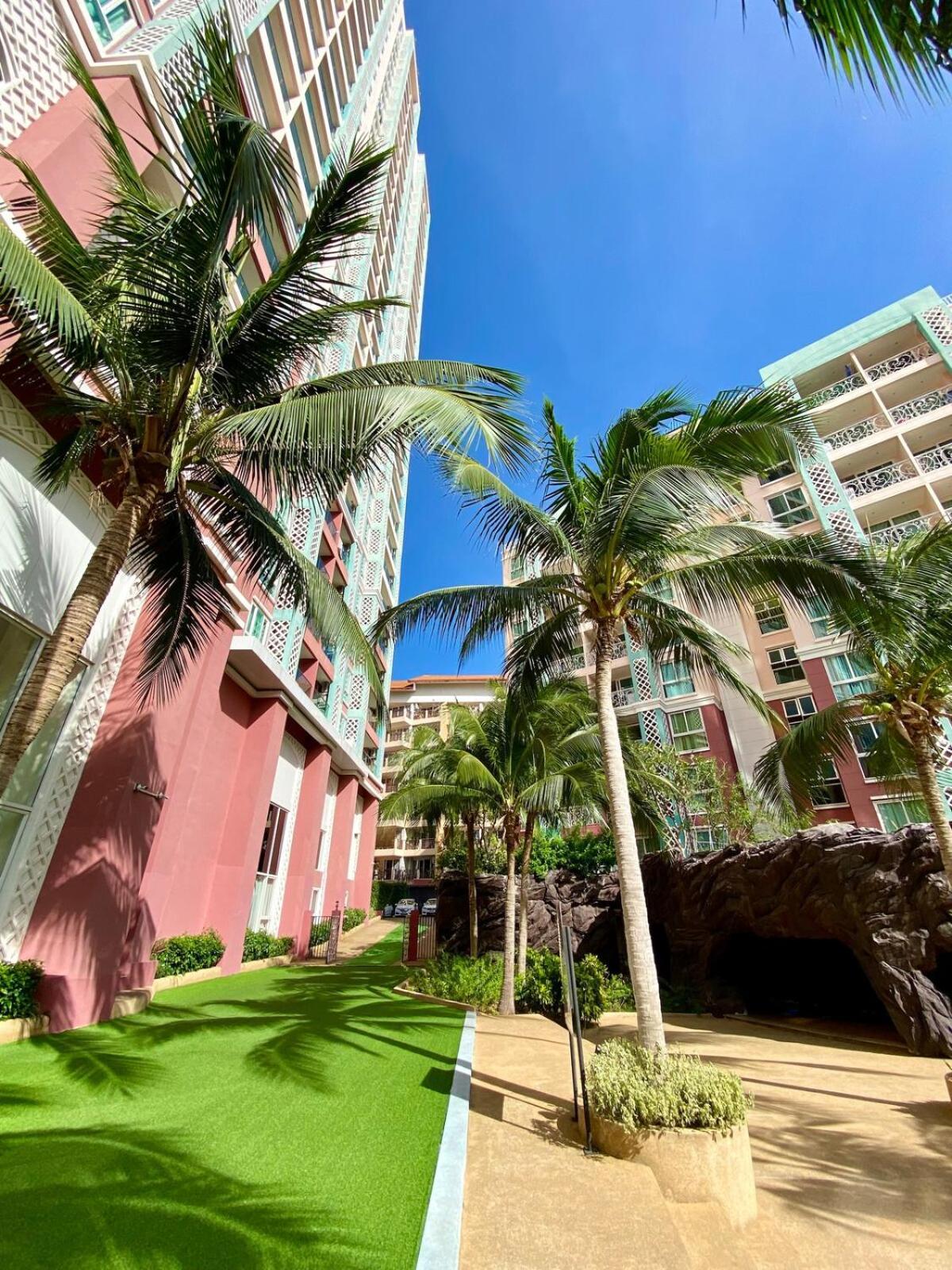 Park View Comfort Apartment