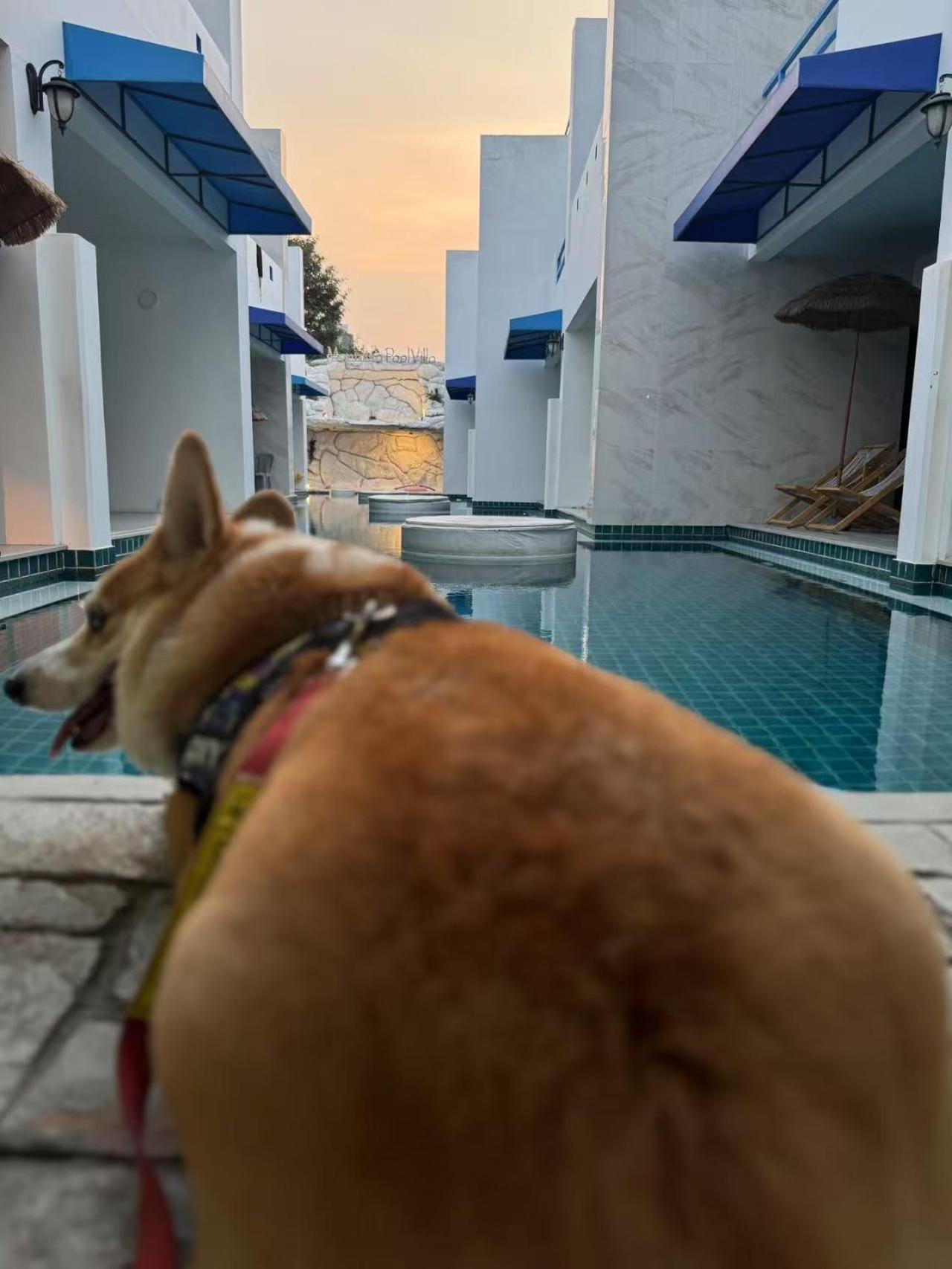 Mona Lisa Pool Hospedagem domiciliar