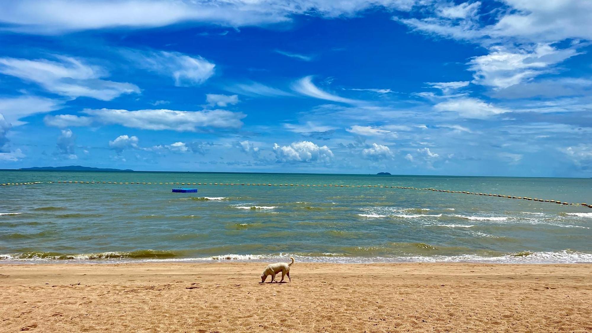 Apartment View Talay 6 By Starry Sky Pattaya