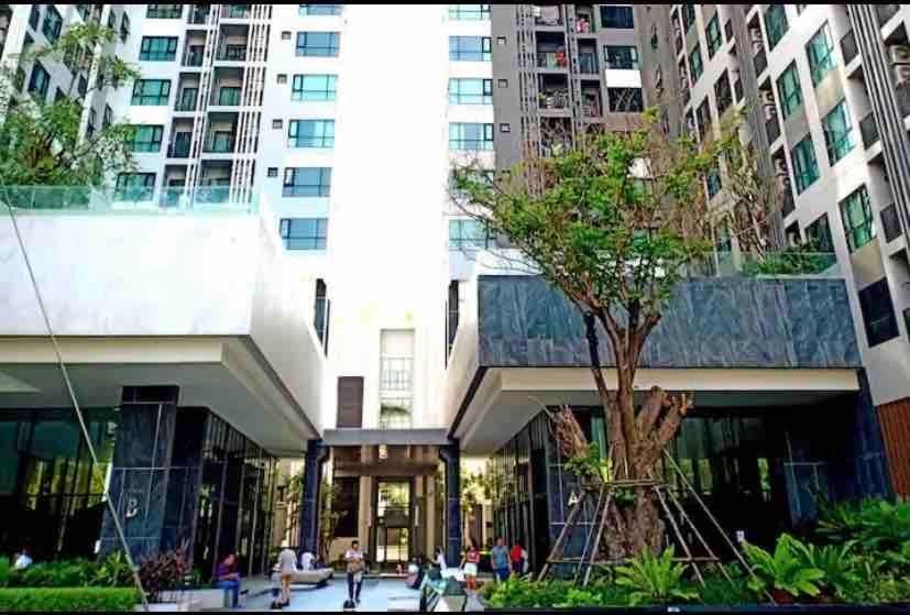 Base Perfect Spot Seaview 23 Floor Pattaya