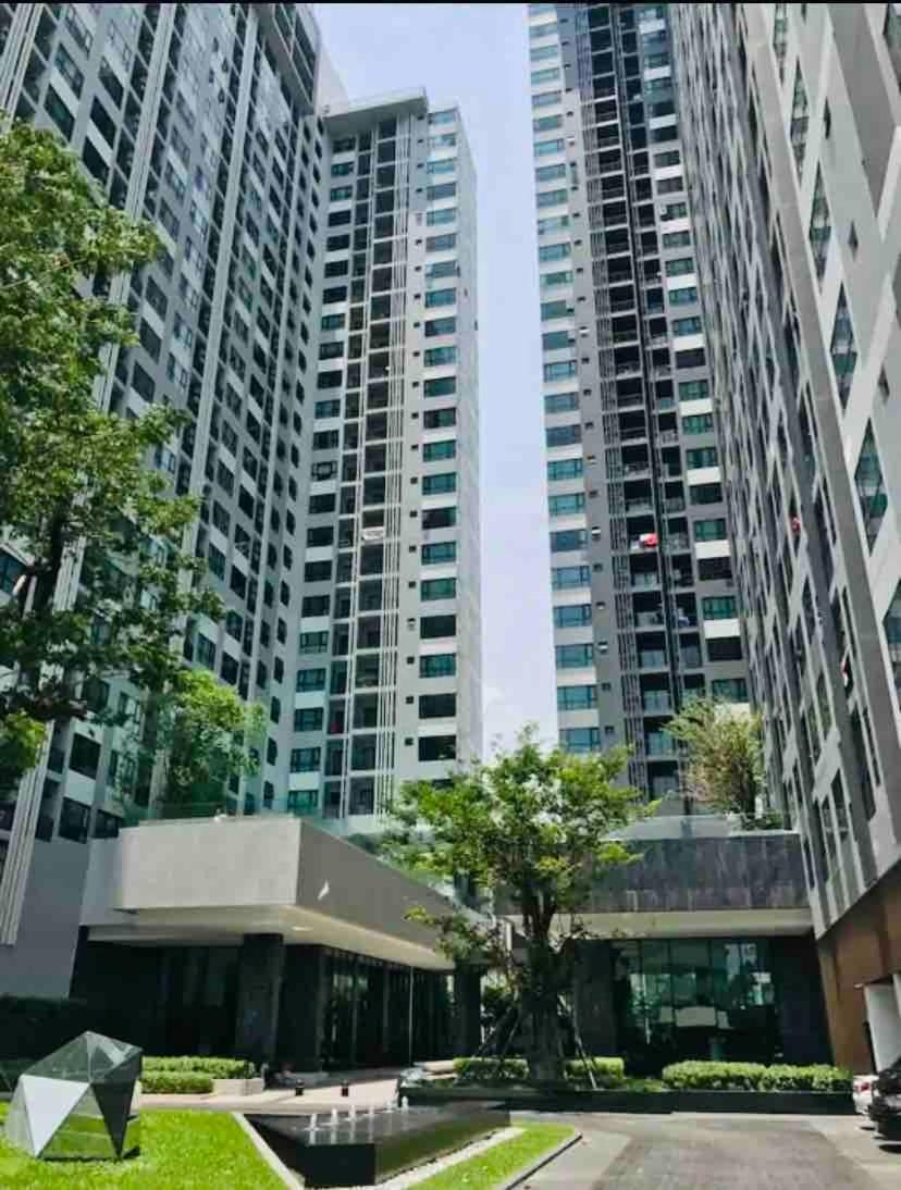Base Perfect Spot Seaview 23 Floor