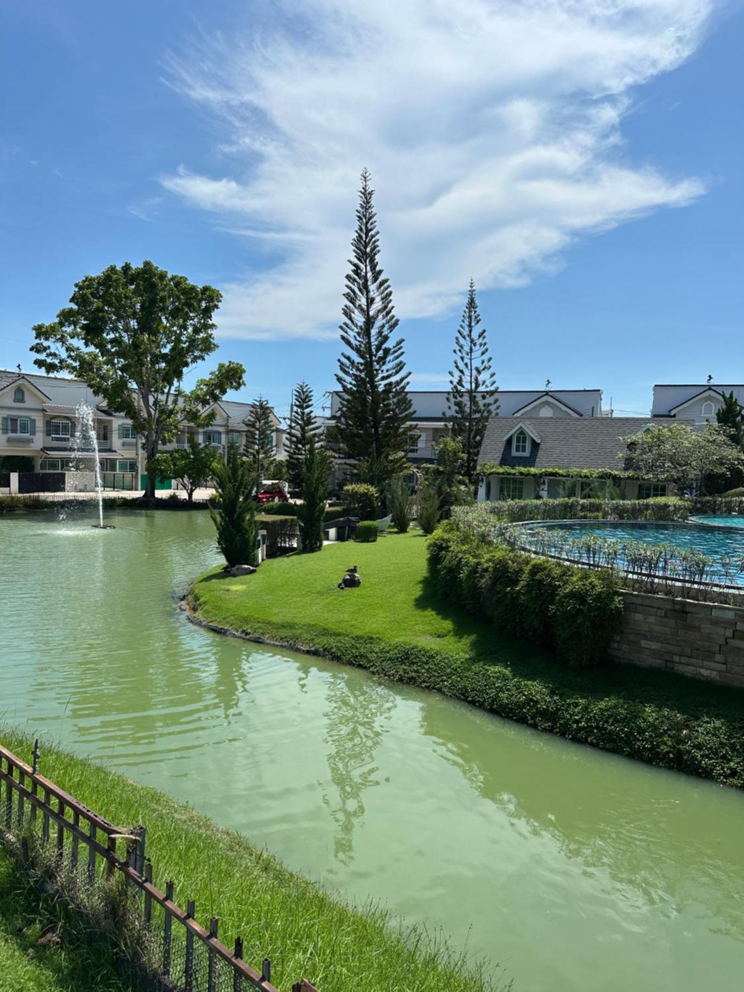 Bristol Park 218 Holiday home *