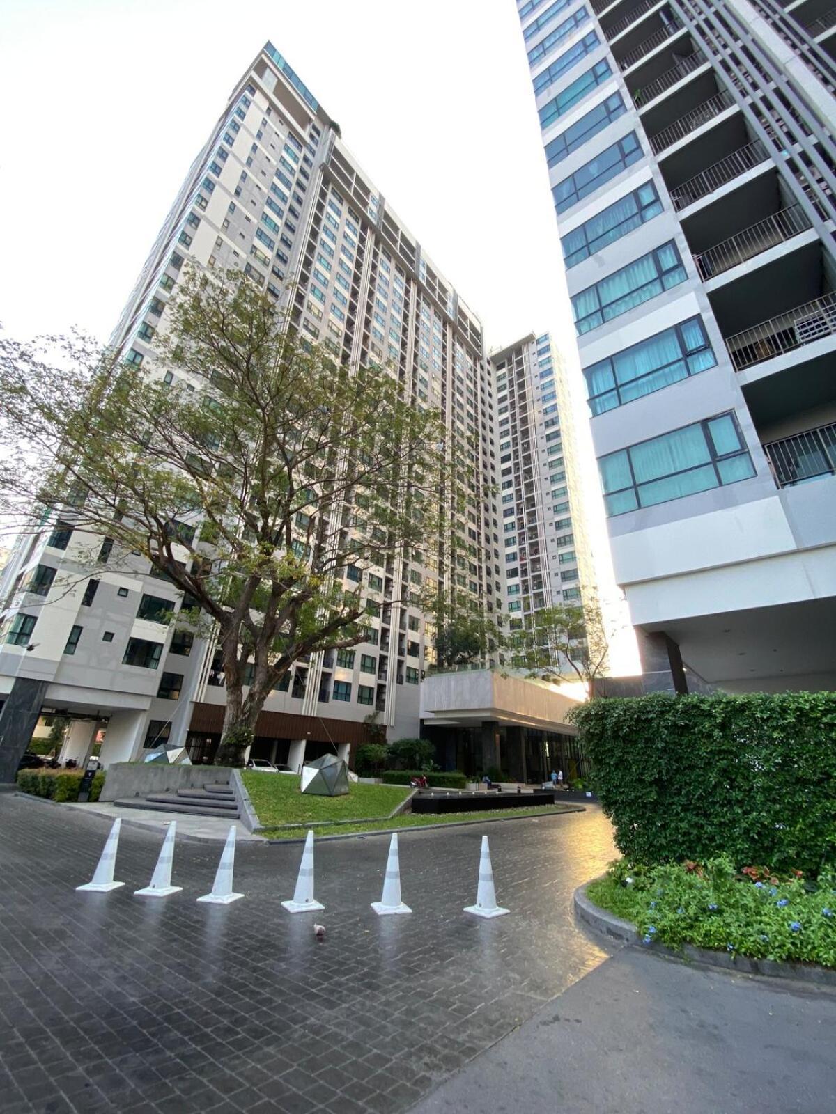 - Roof Pool Apartment