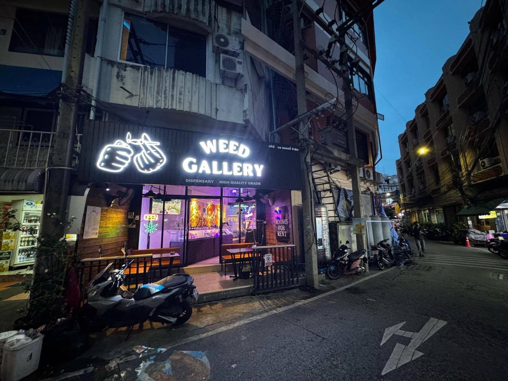 W33d Gallery * Pattaya