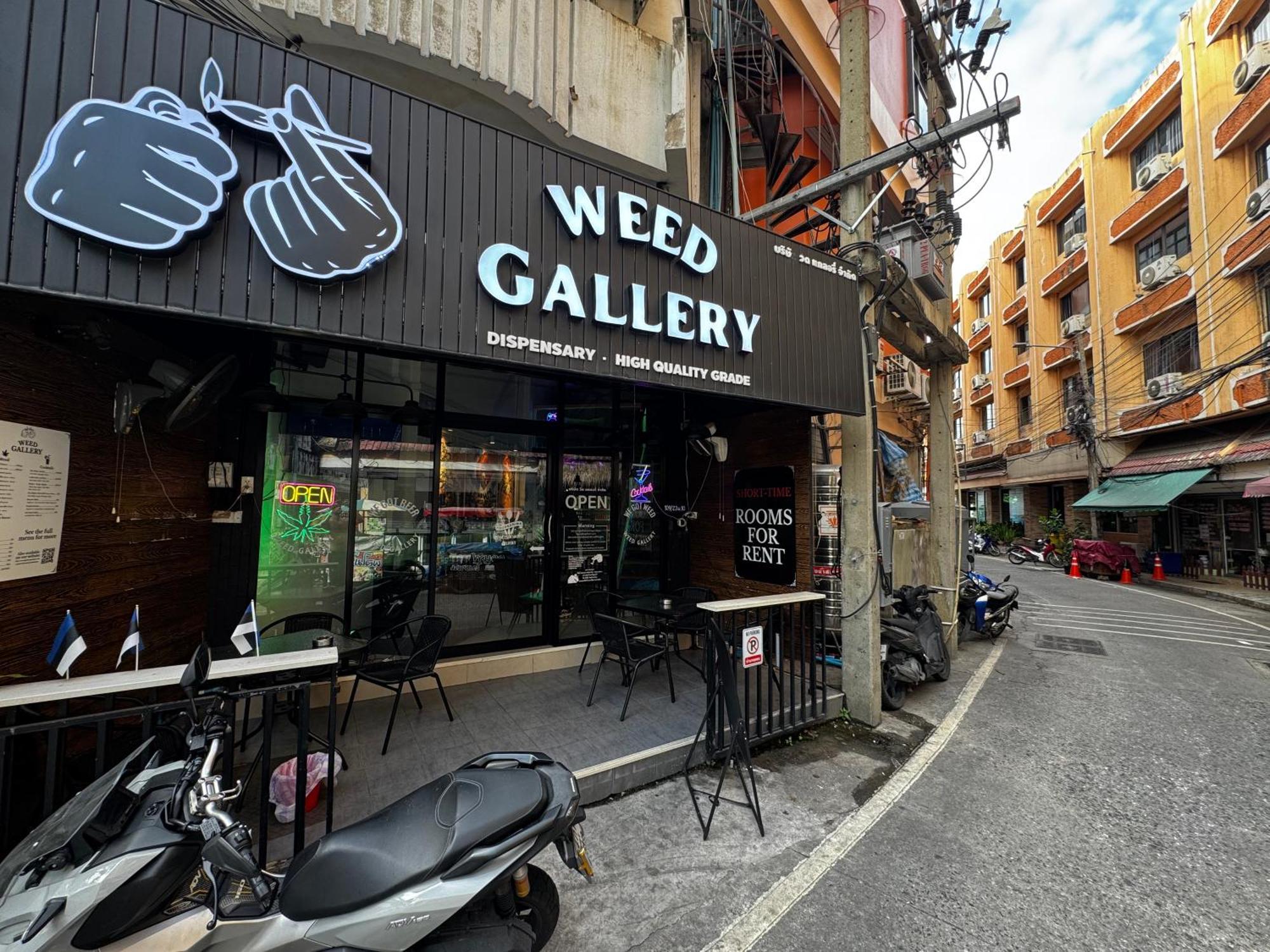 W33d Gallery Guest house