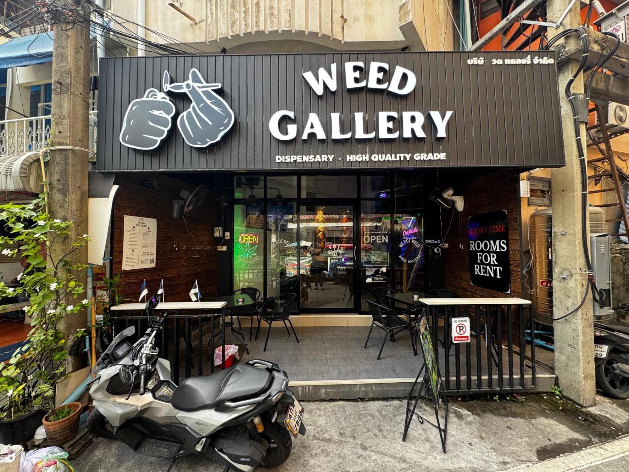 Guest house W33d Gallery *