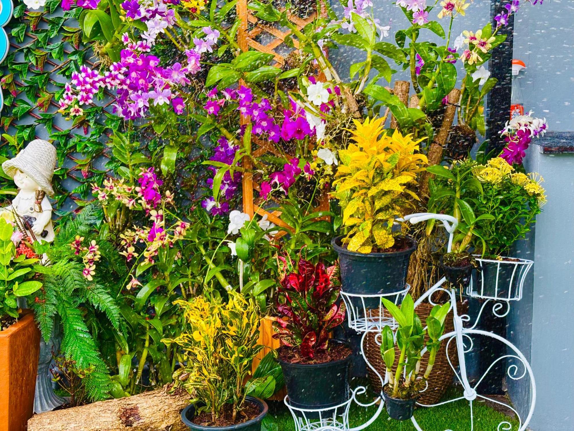 Kate Pool Jomtien Villa Pattaya