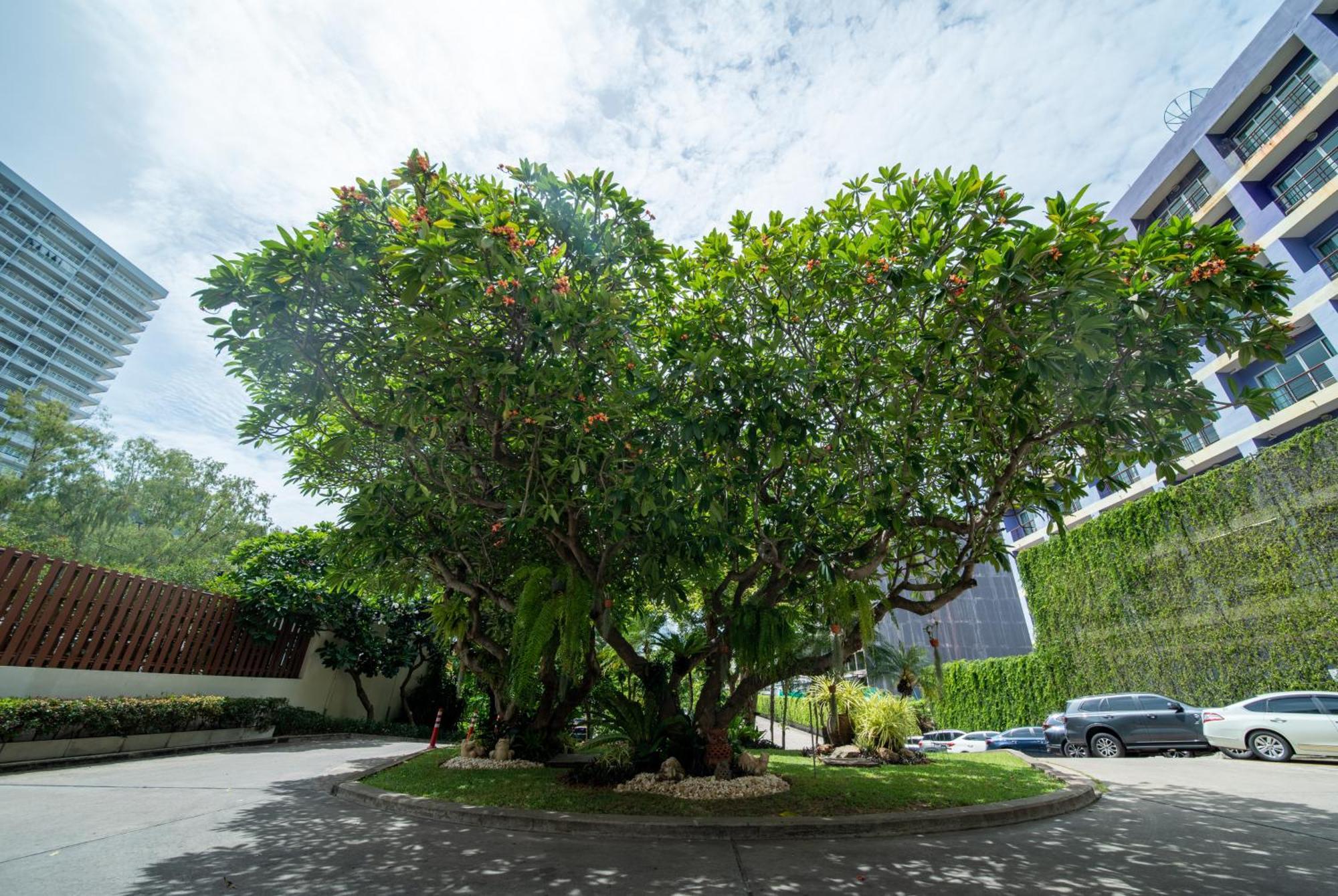 Resort The Bayview 4*