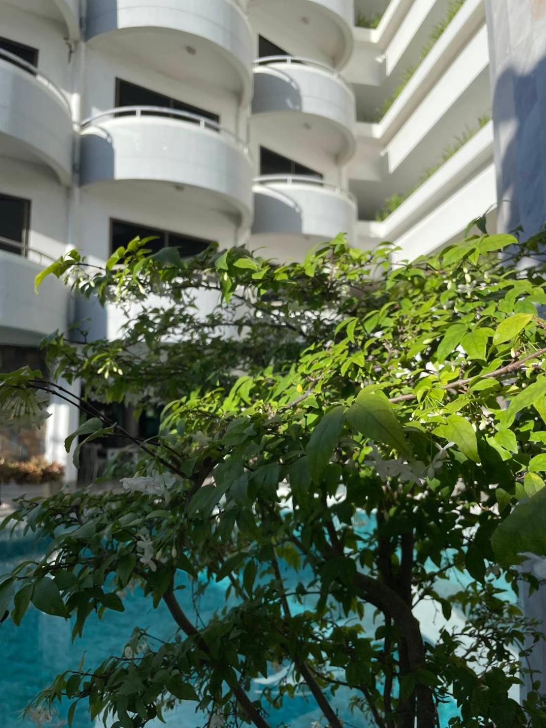 Hotel Garden Paradise Pattaya