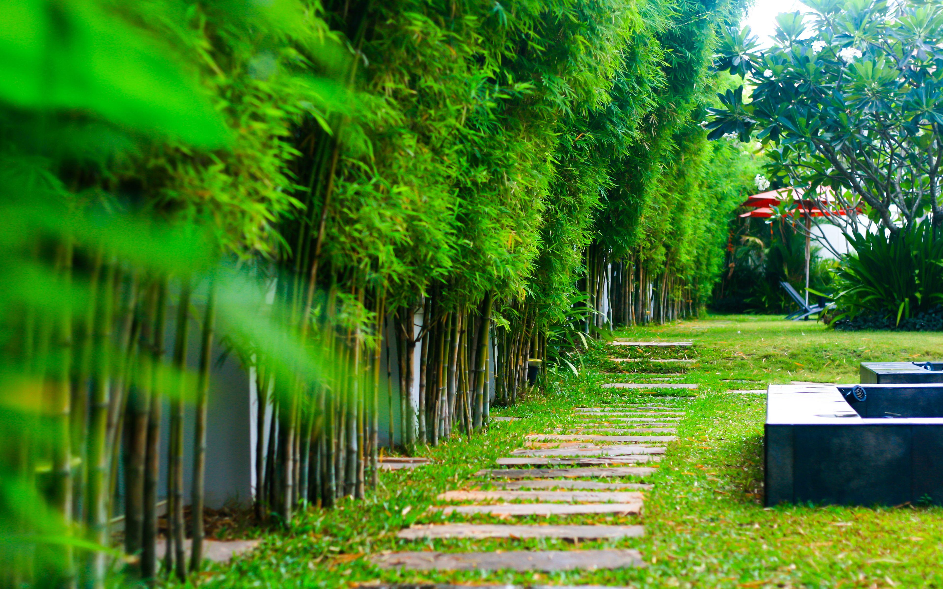 ปาล์มโกลฟรีสอร์ท พัทยา