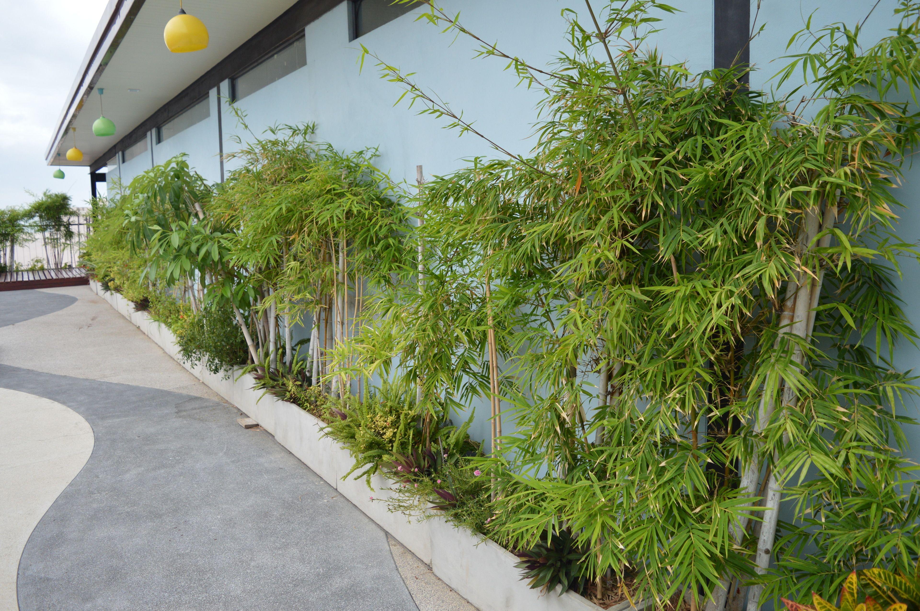 Aya Boutique - Sha Hotel