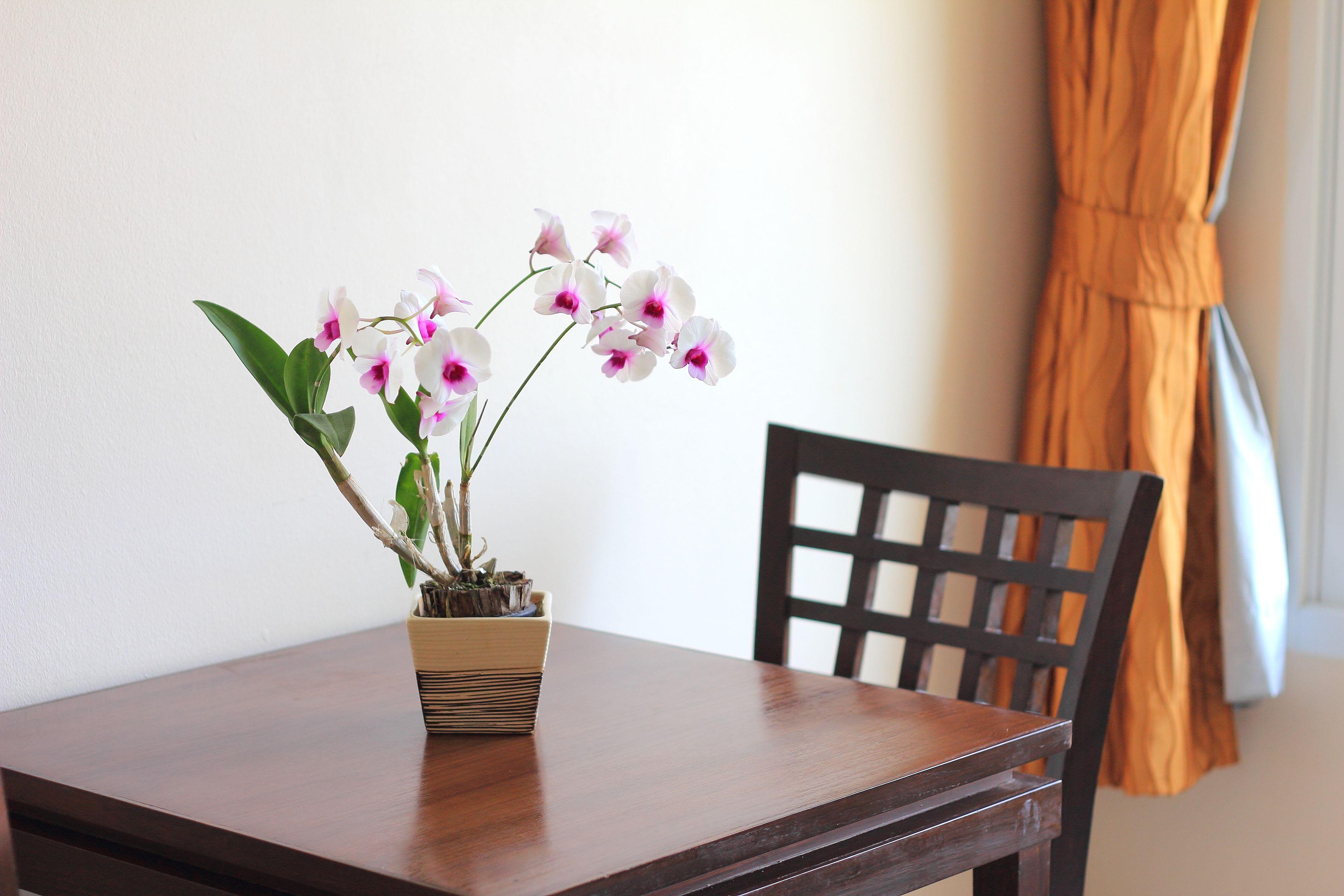 Aiyara Palace Hotel Pattaya