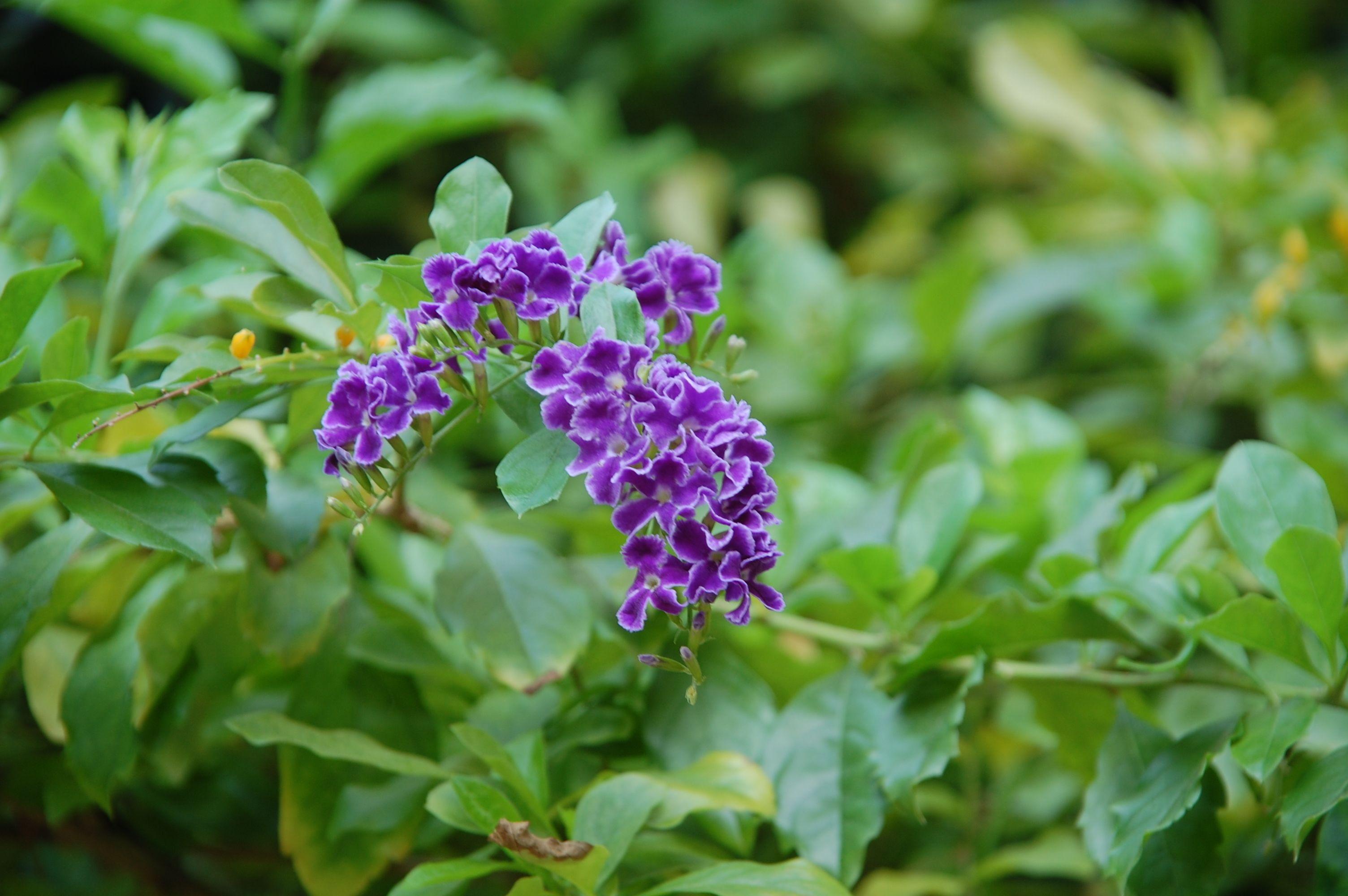 Opey De Place Hotel 3*