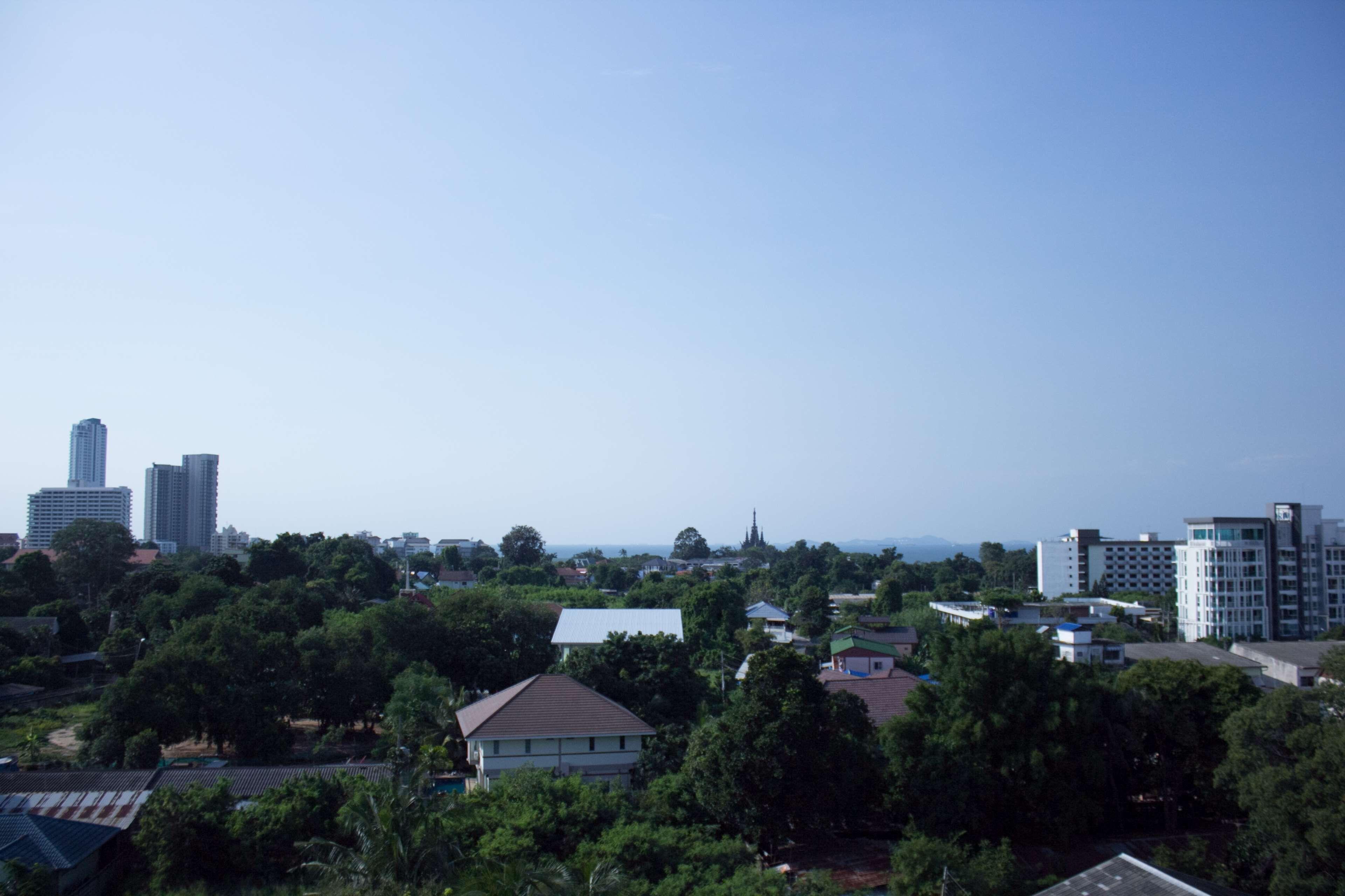 Golden Tulip Essential