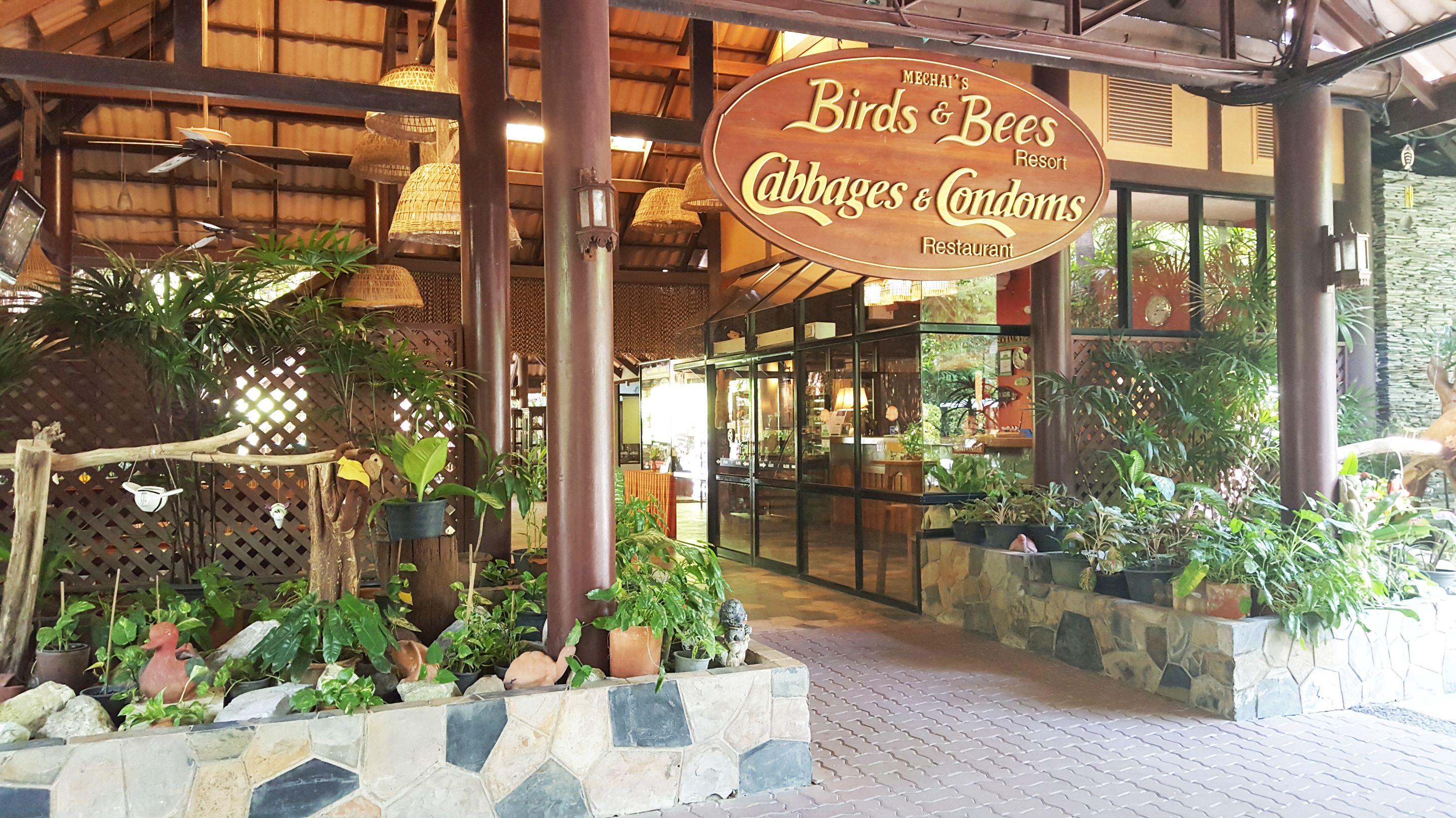 Birds And Bees Resort