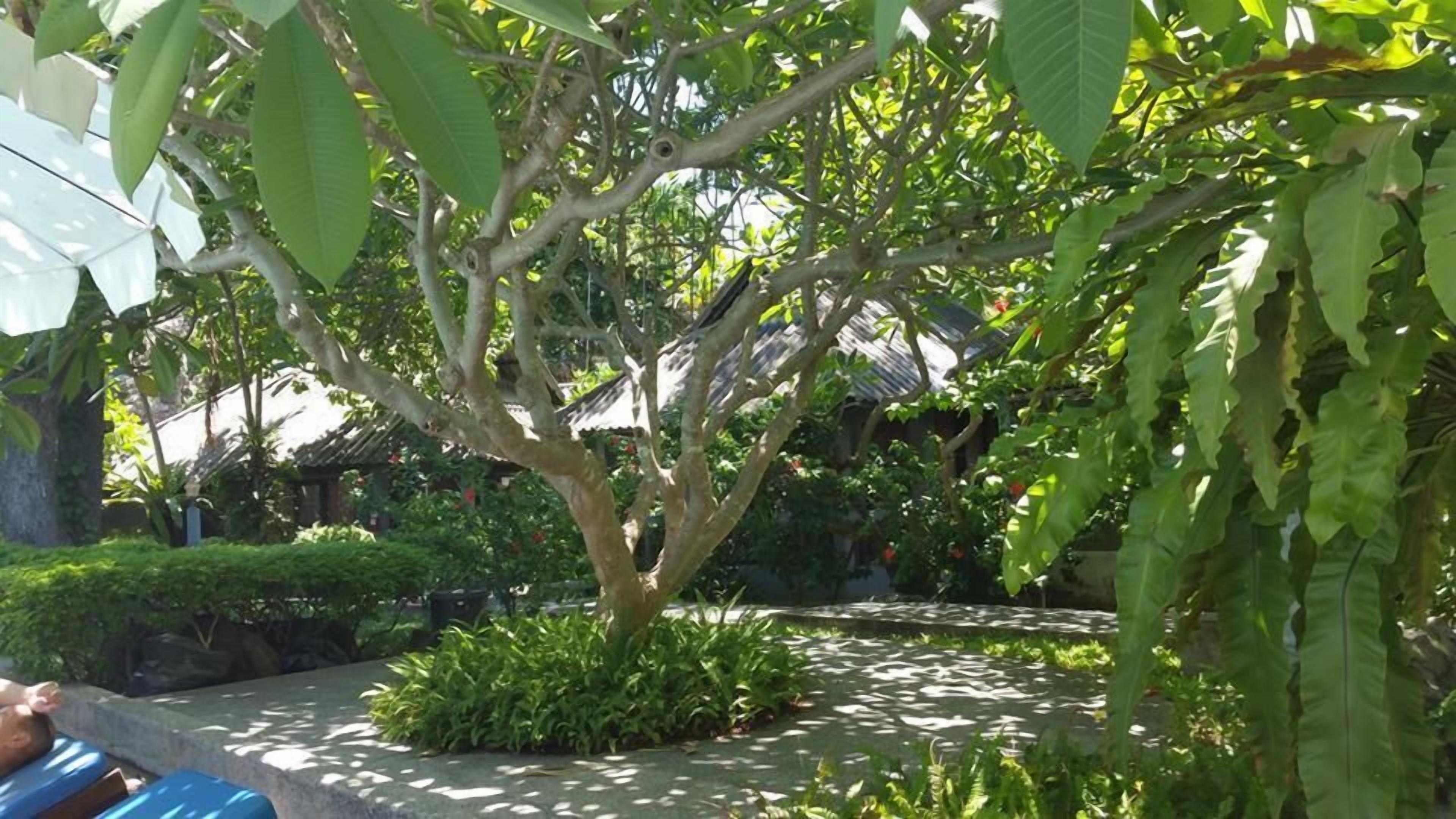 Hotel Let's Hyde & - Pool Pattaya