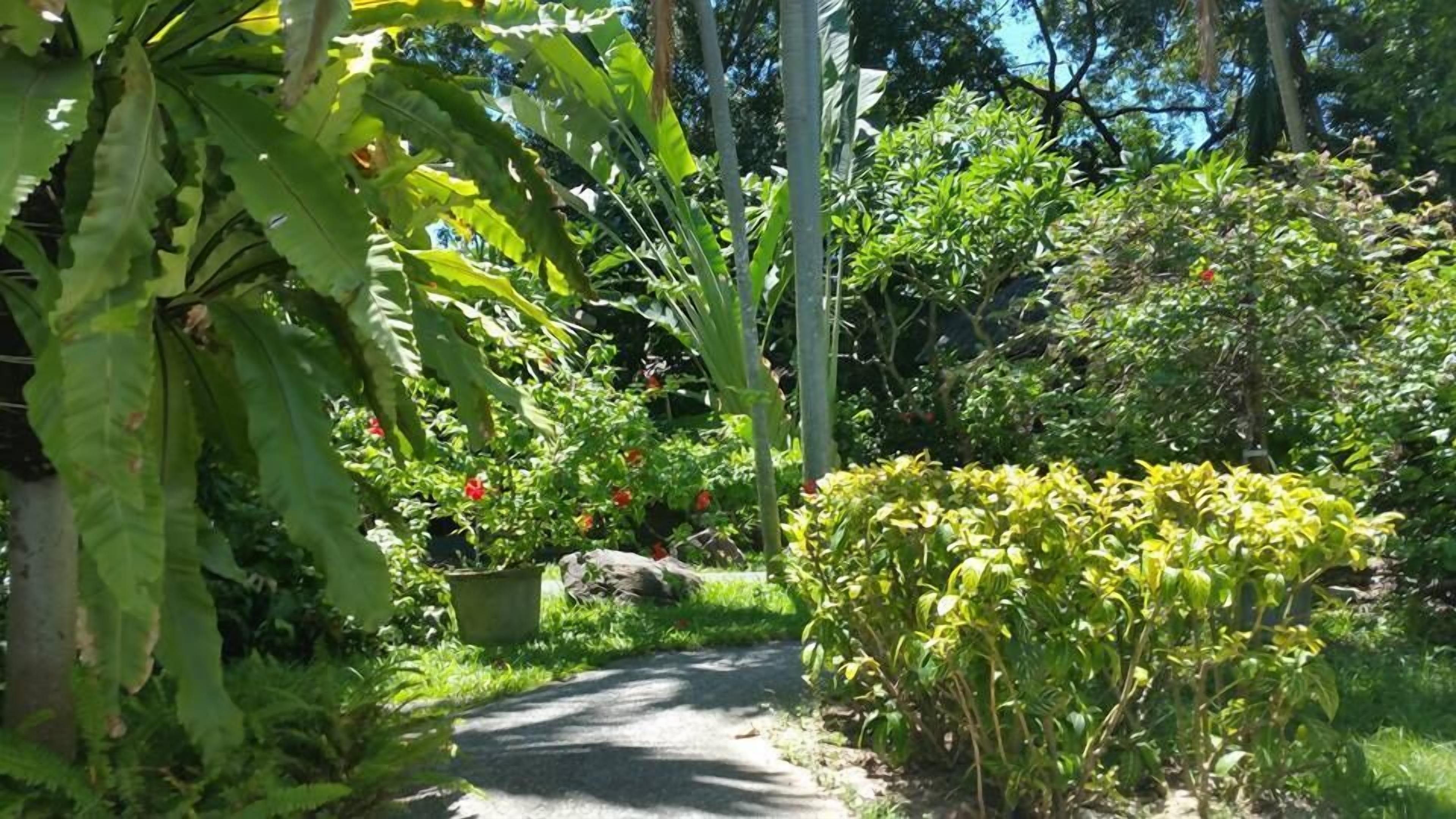 Let's Hyde & - Pool Pattaya