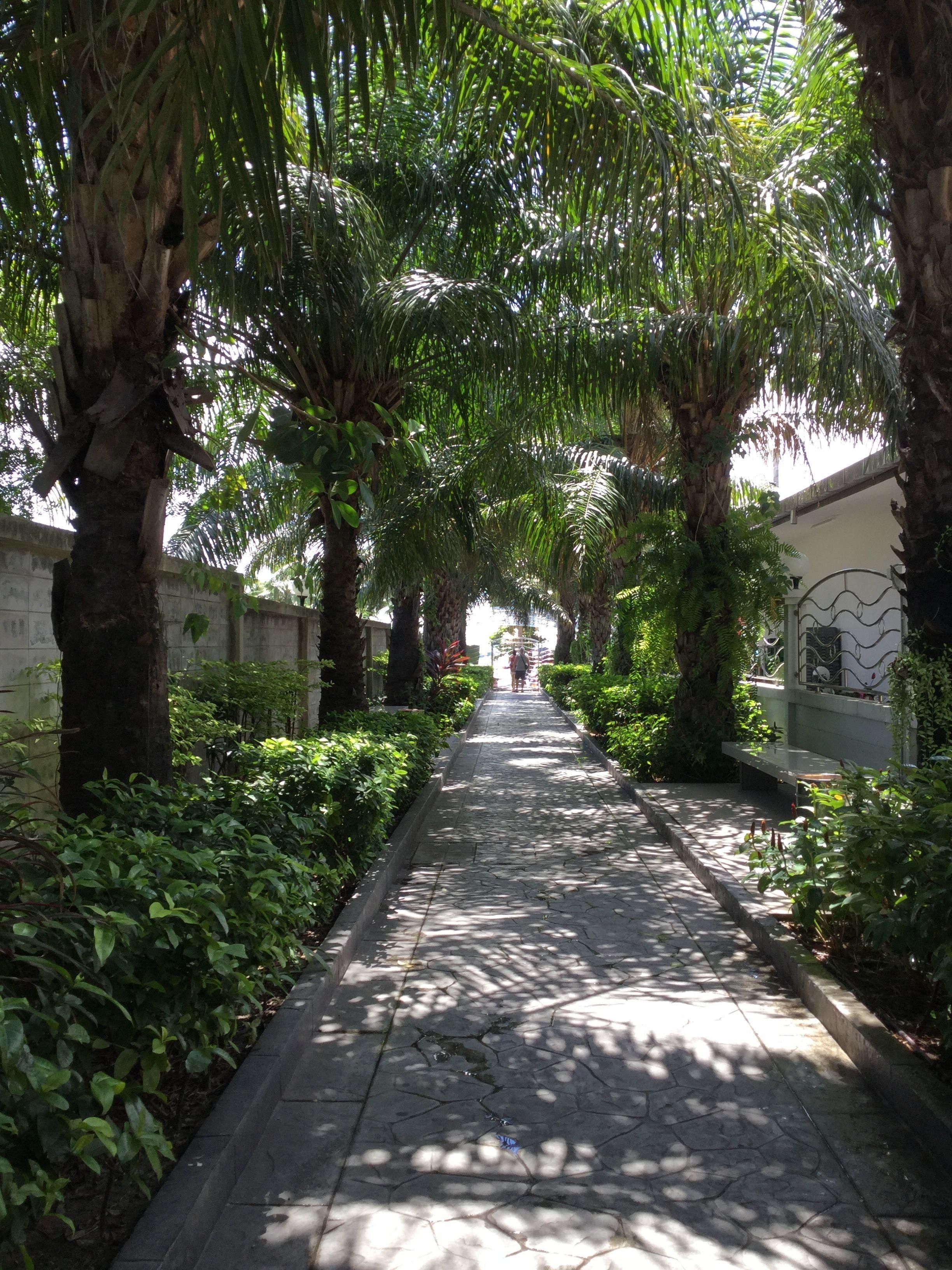 View Talay 6 By Pat 42 Pattaya