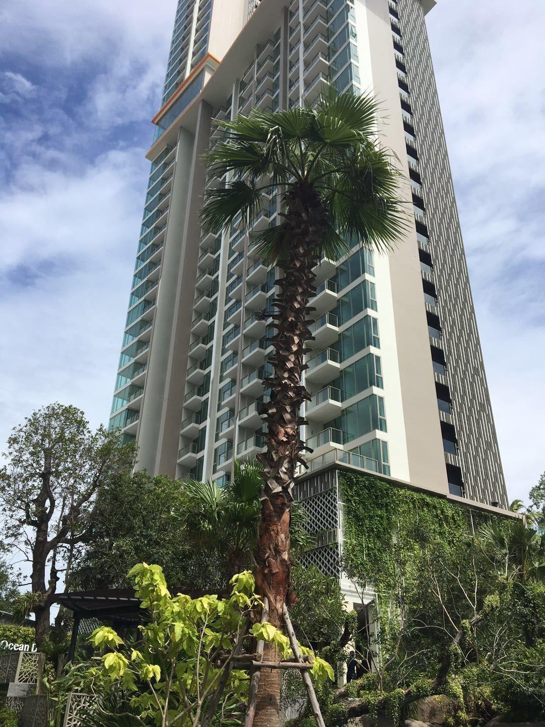 The Riviera Wongamat Hong *