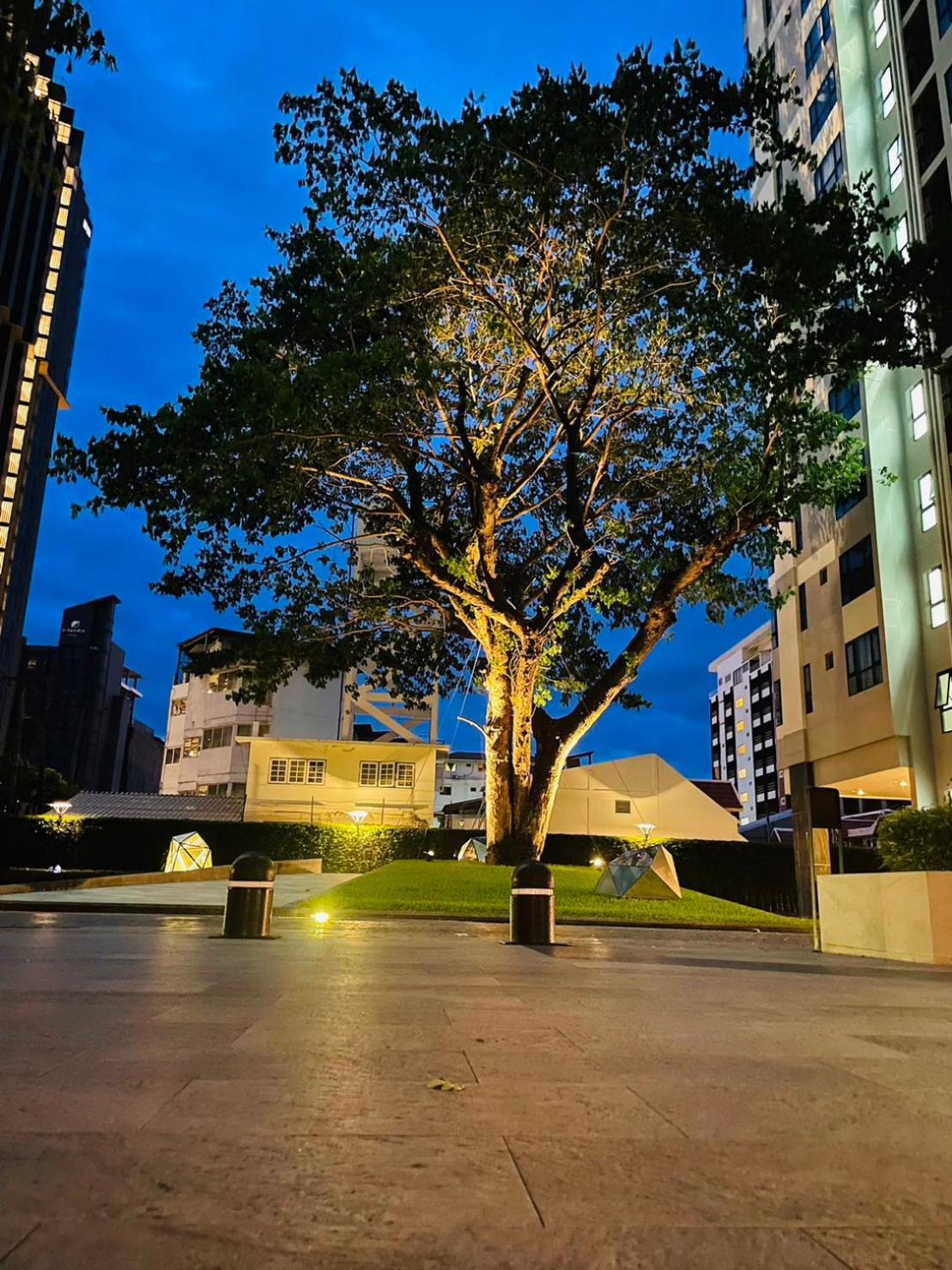 The Base 851 By Numam Apartment Pattaya