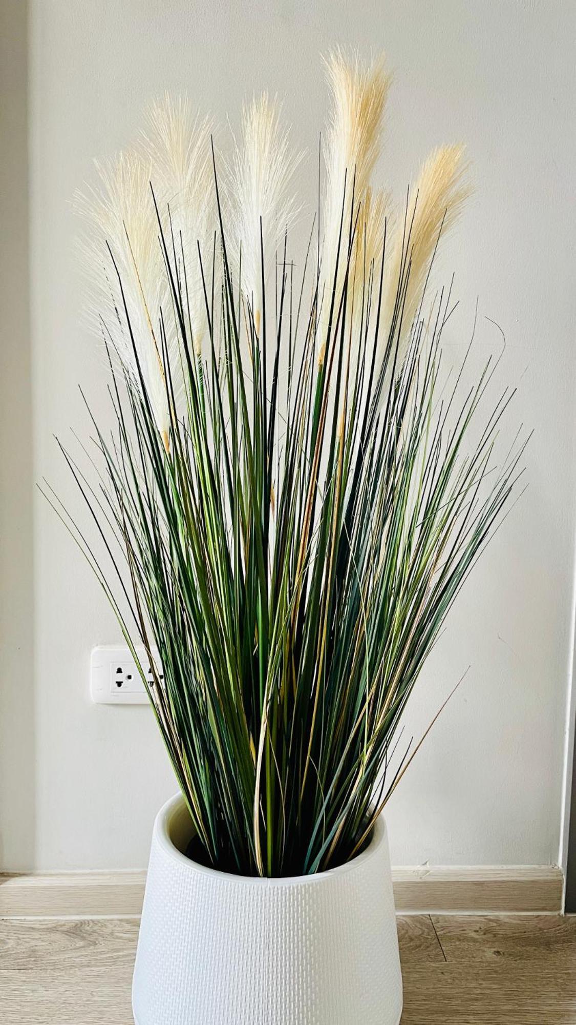 Apartment The Base 2 Bedroom 1 Bathroom