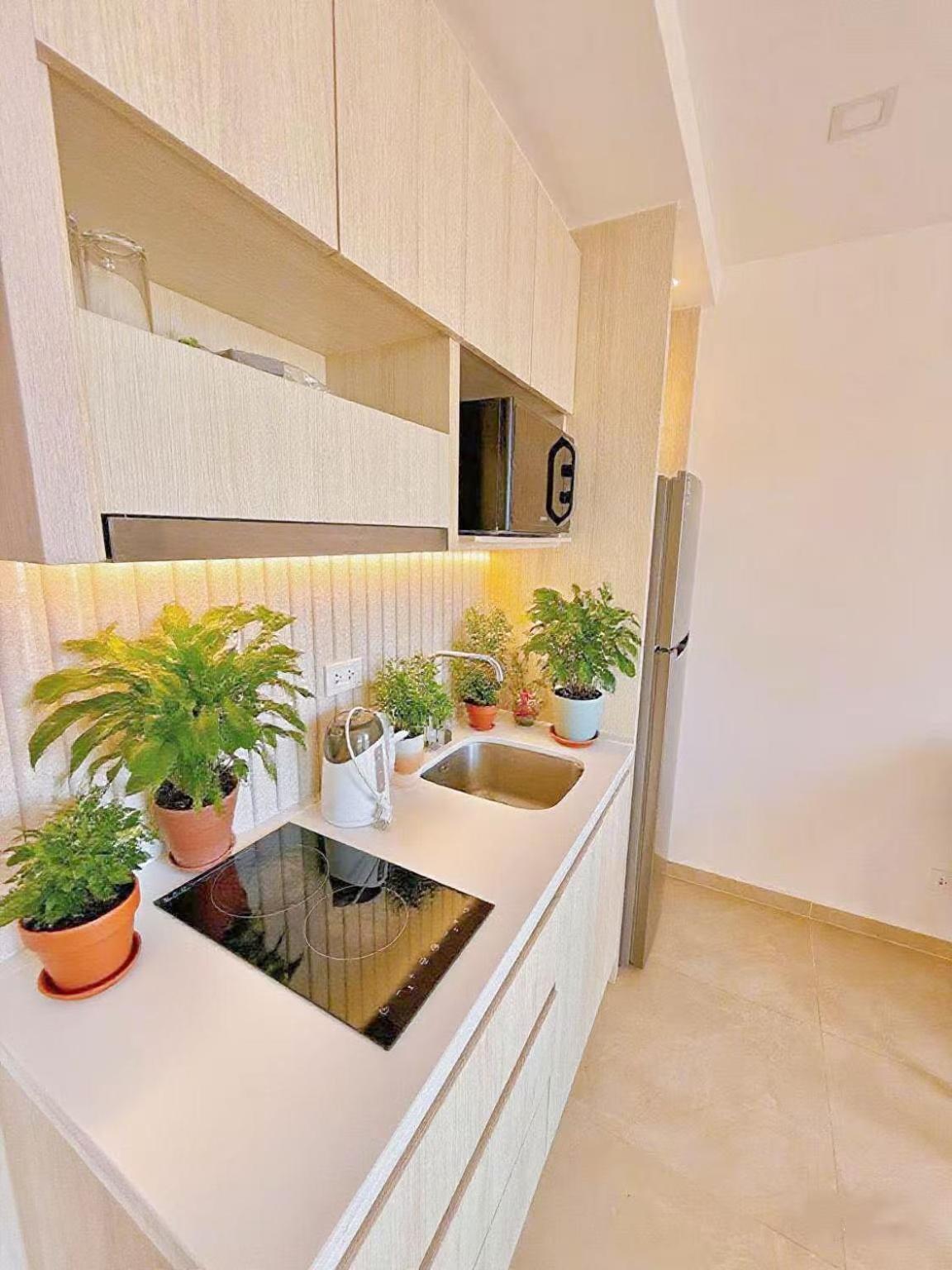 芭提雅市中心高端泳池花园公寓 椰子树下步行街旁 *