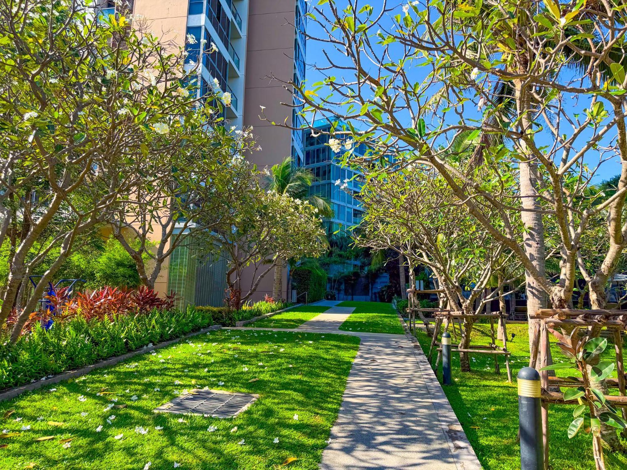 Skyline Serenity By Mountain Park Apartment