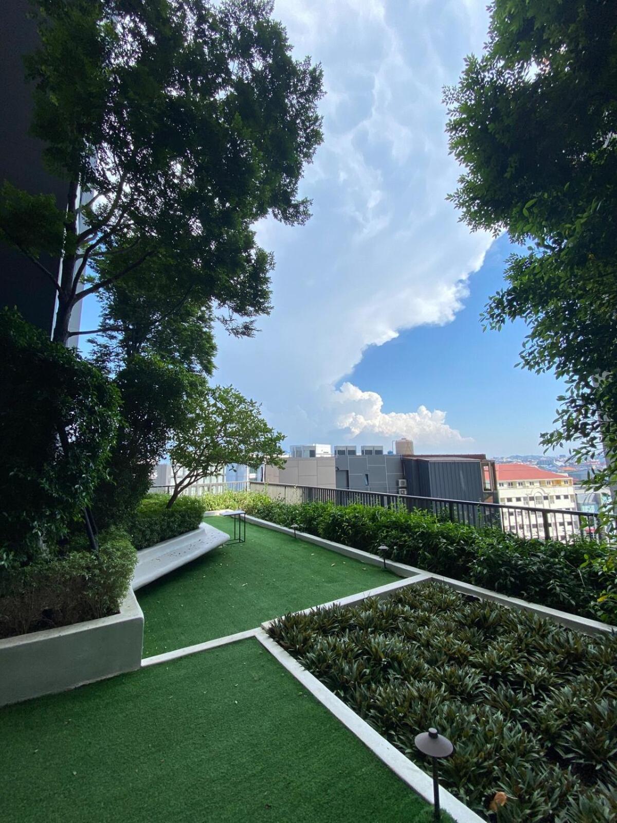 Comfort In Panorama Sky View *