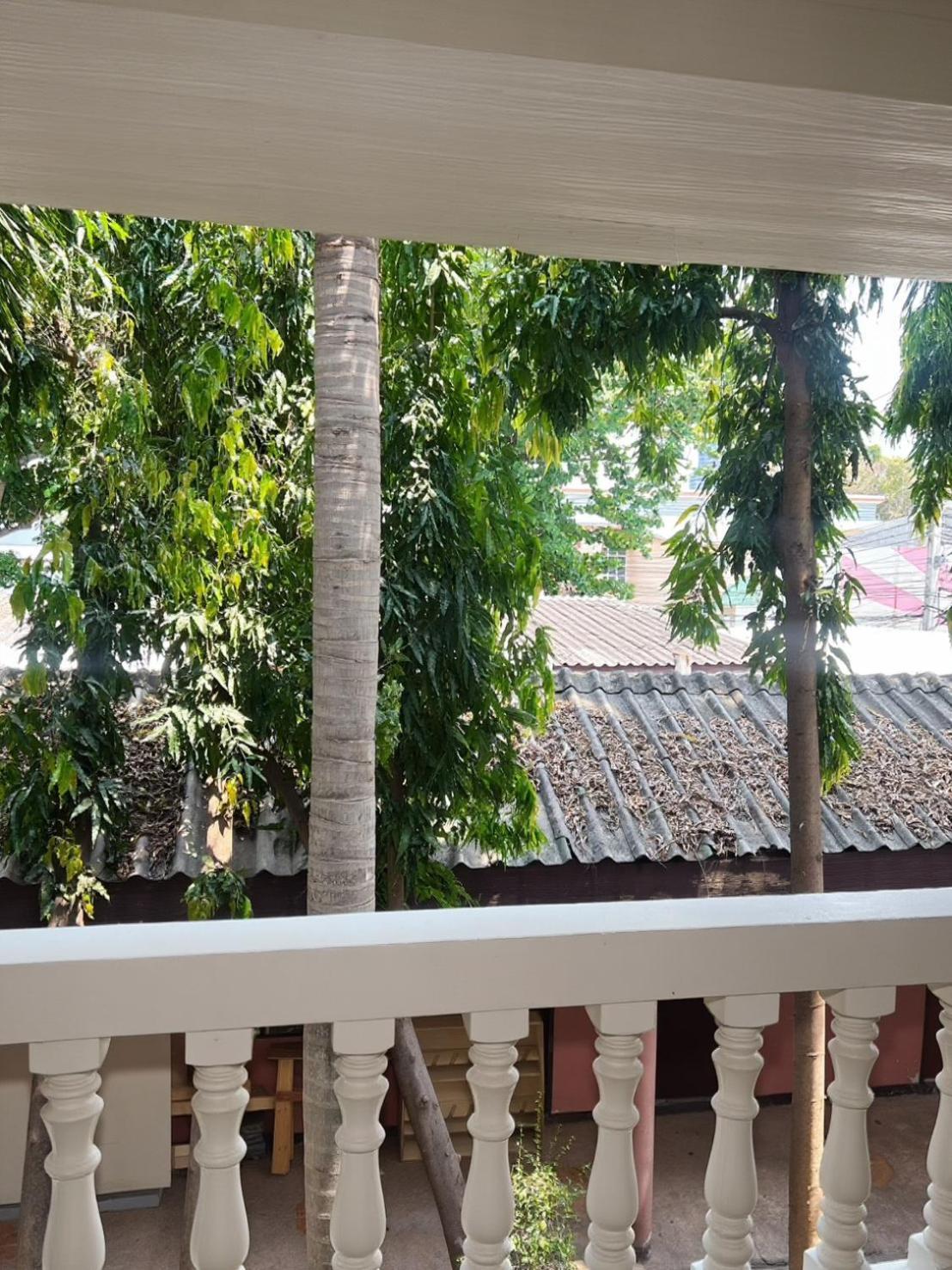 Windmill 3* Pattaya
