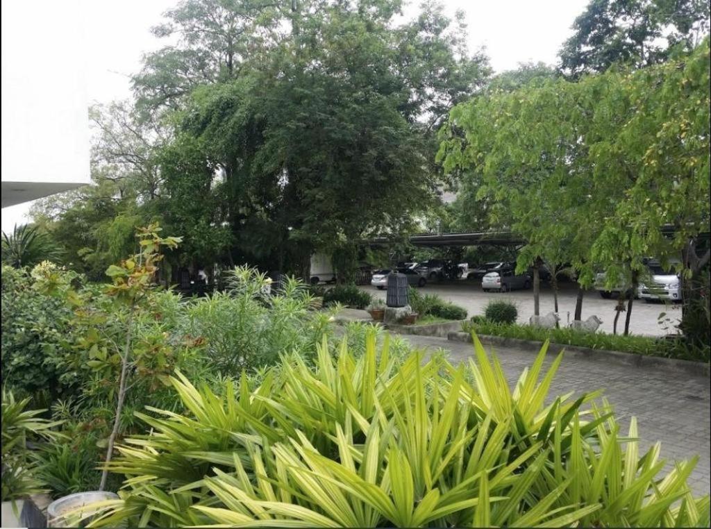 Hotel The Park 3*