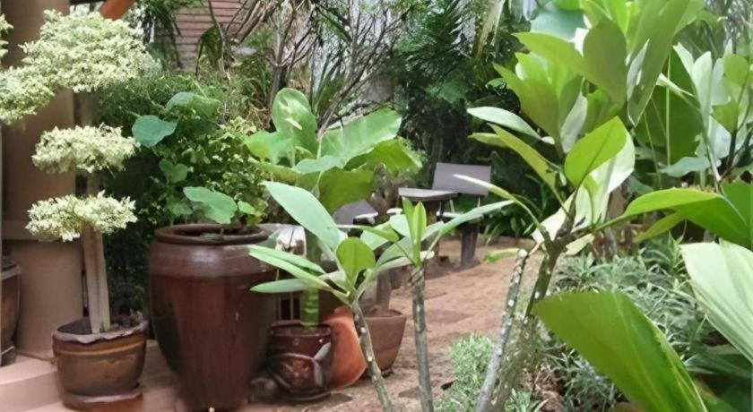 Chada Thai House Hotel 3*