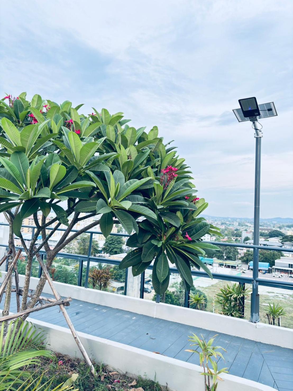 Dday Luxury By D-eco Wellness Centre โรงแรม Pattaya