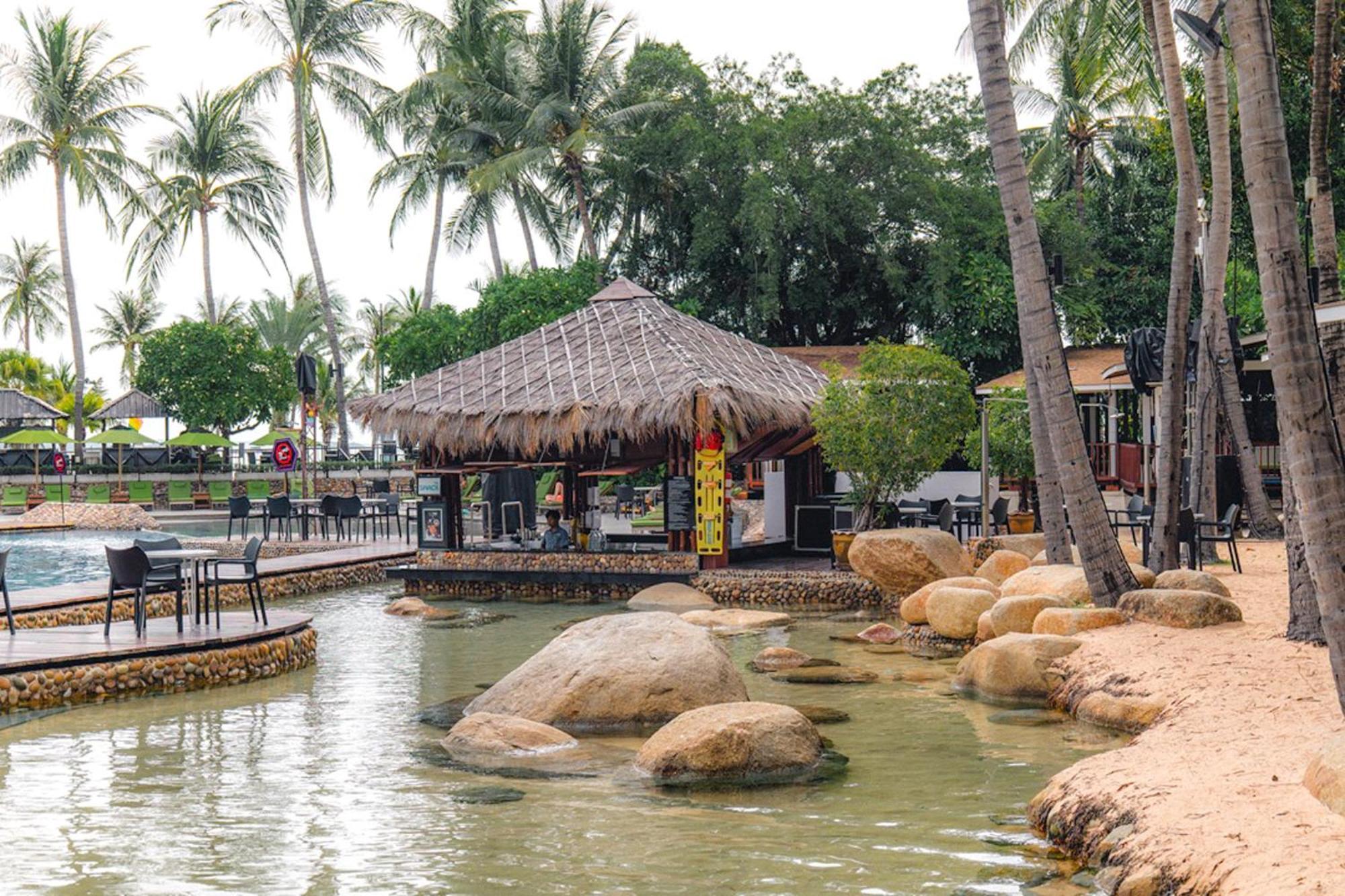 Hard Rock (adults Only) 4*