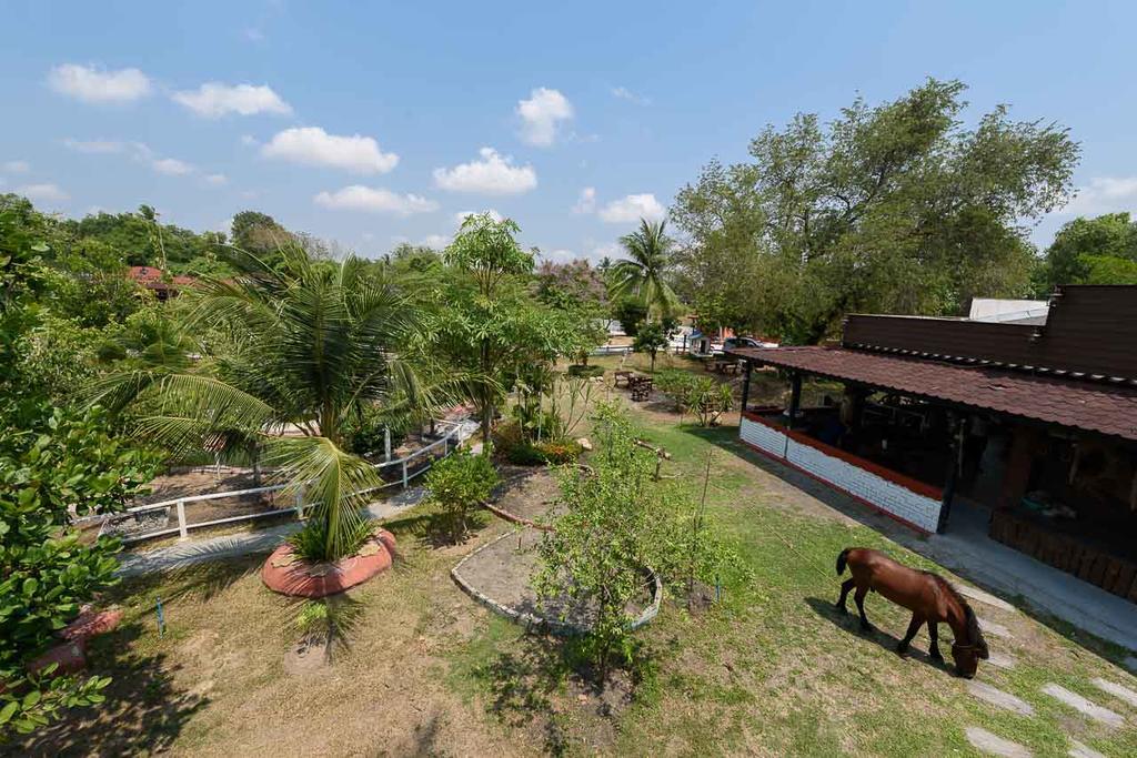 Cowboy Farm Pattaya Ban Huai Yai