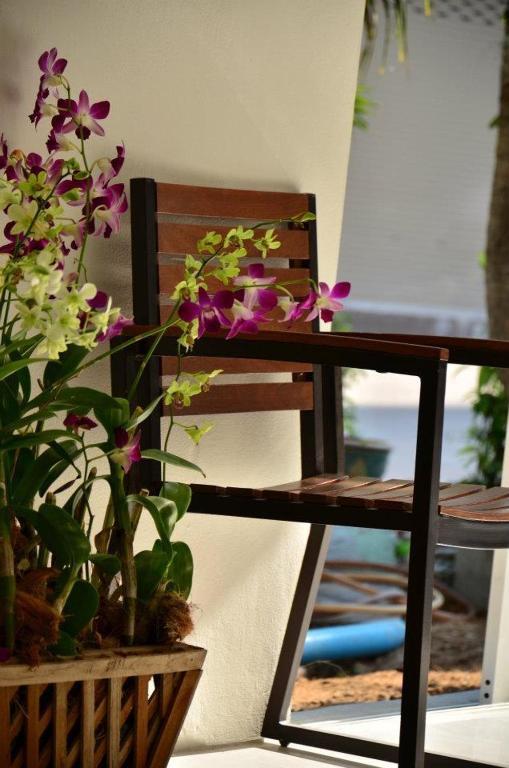 Admire House Guest house *