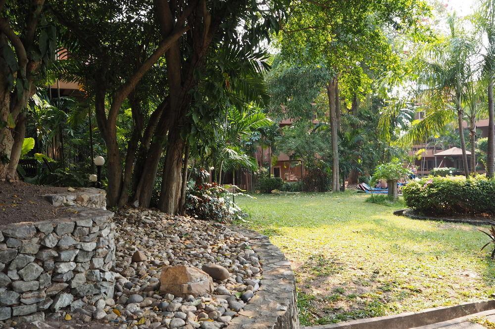 Loma & 3* Pattaya